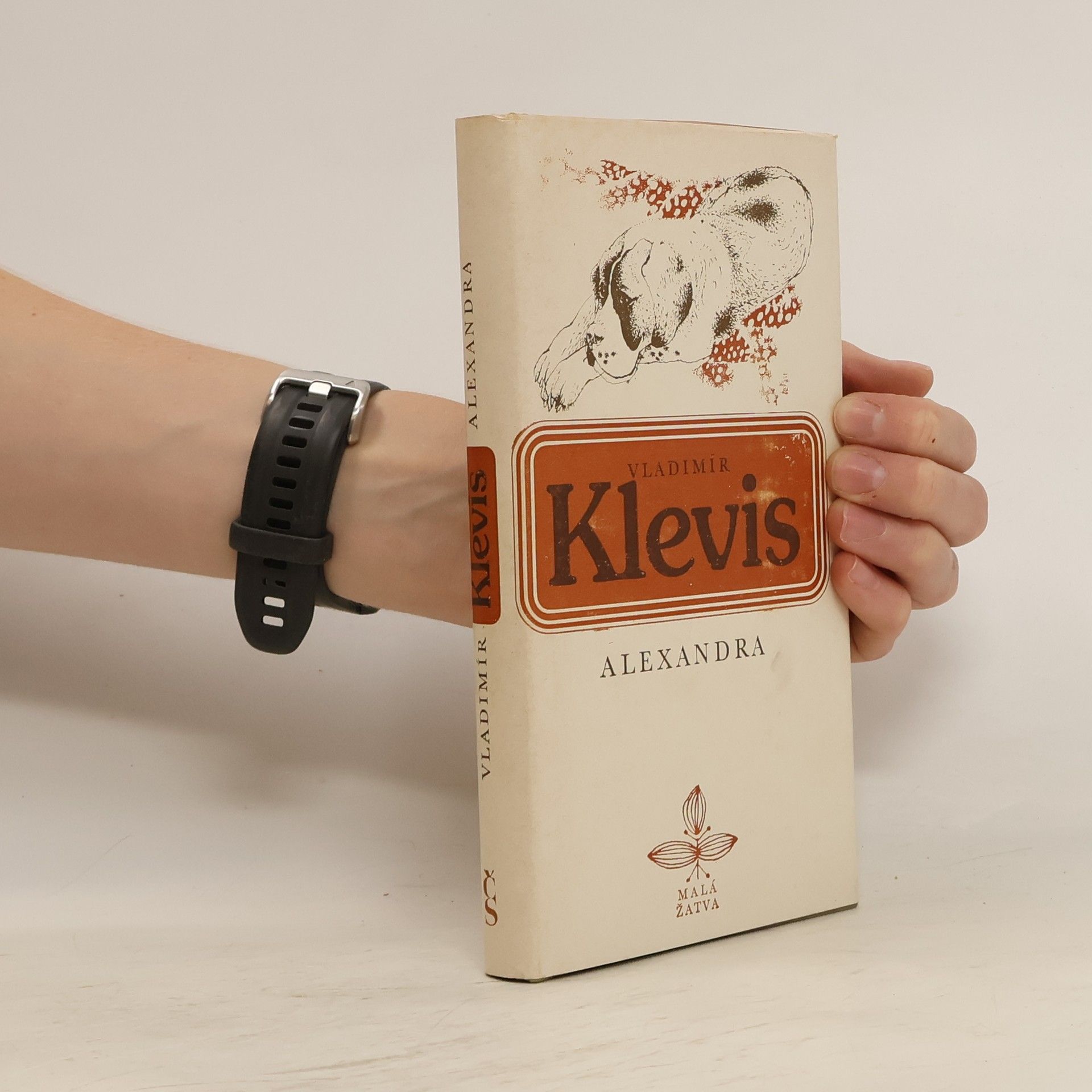 Vladimír Klevis Alexandra