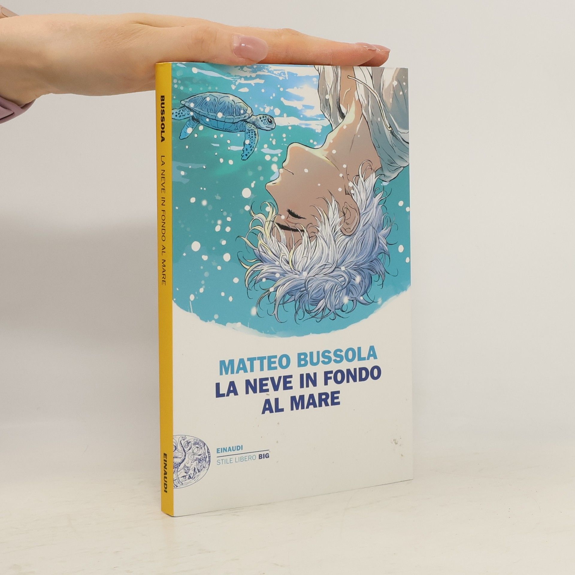 Matteo Bussola La neve in fondo al mare