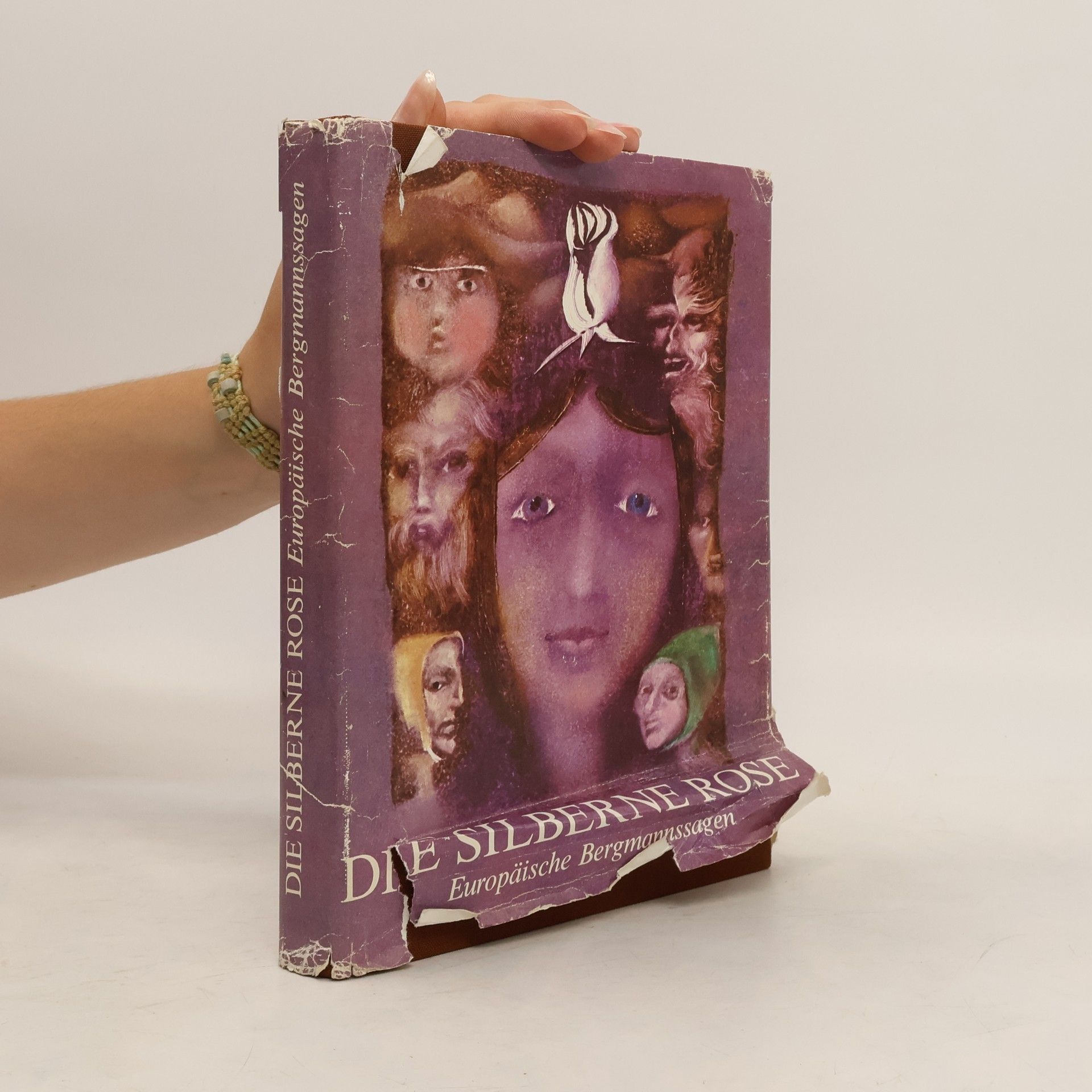 Collectif d'auteurs Die silberne Rose. Europäische Bergmannssagen