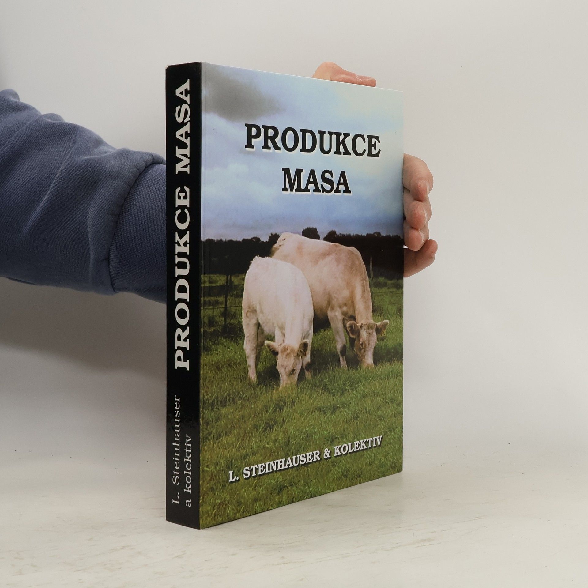 Ladislav Steinhauser Produkce masa