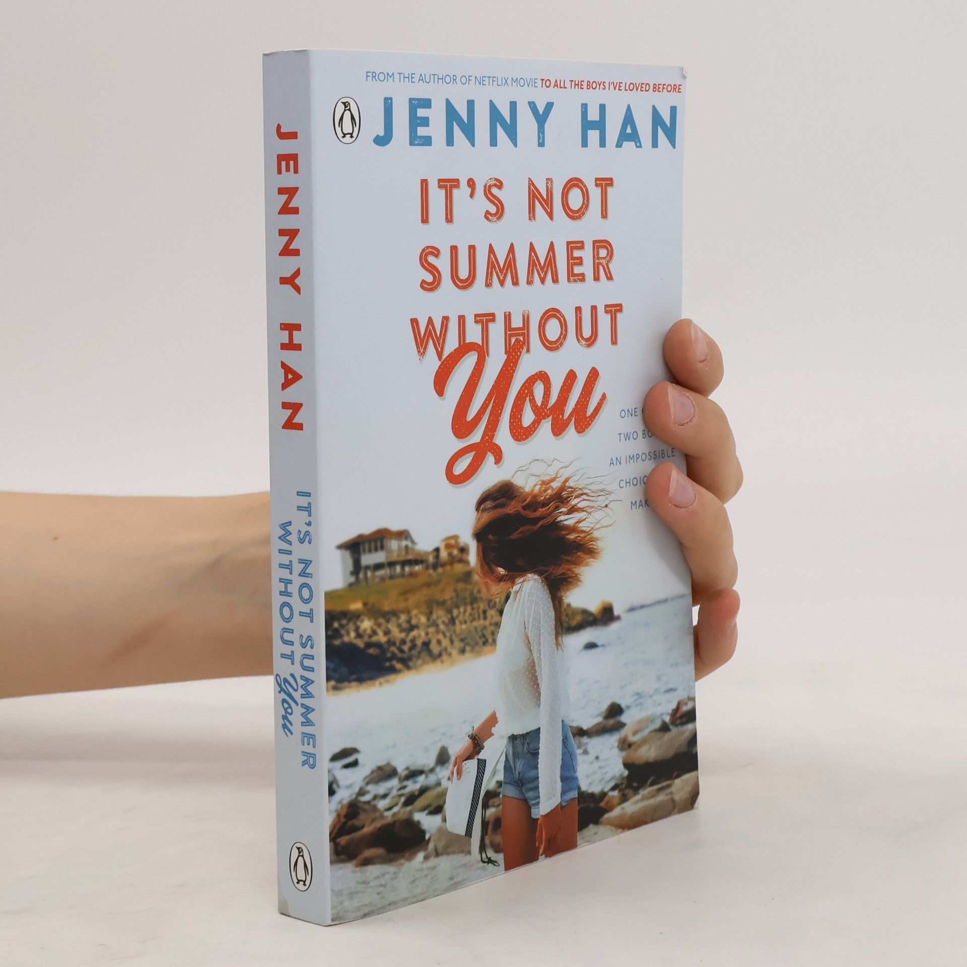 Jenny Han It's Not Summer Without You