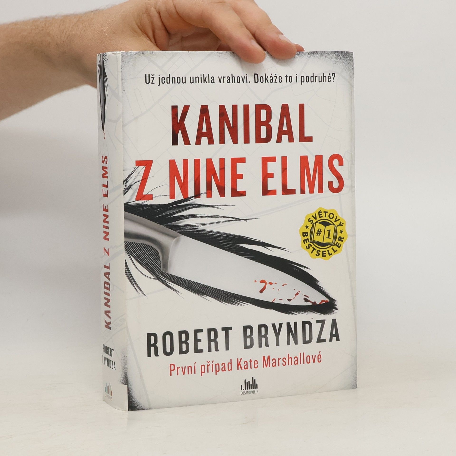Robert Bryndza Kanibal z Nine Elms