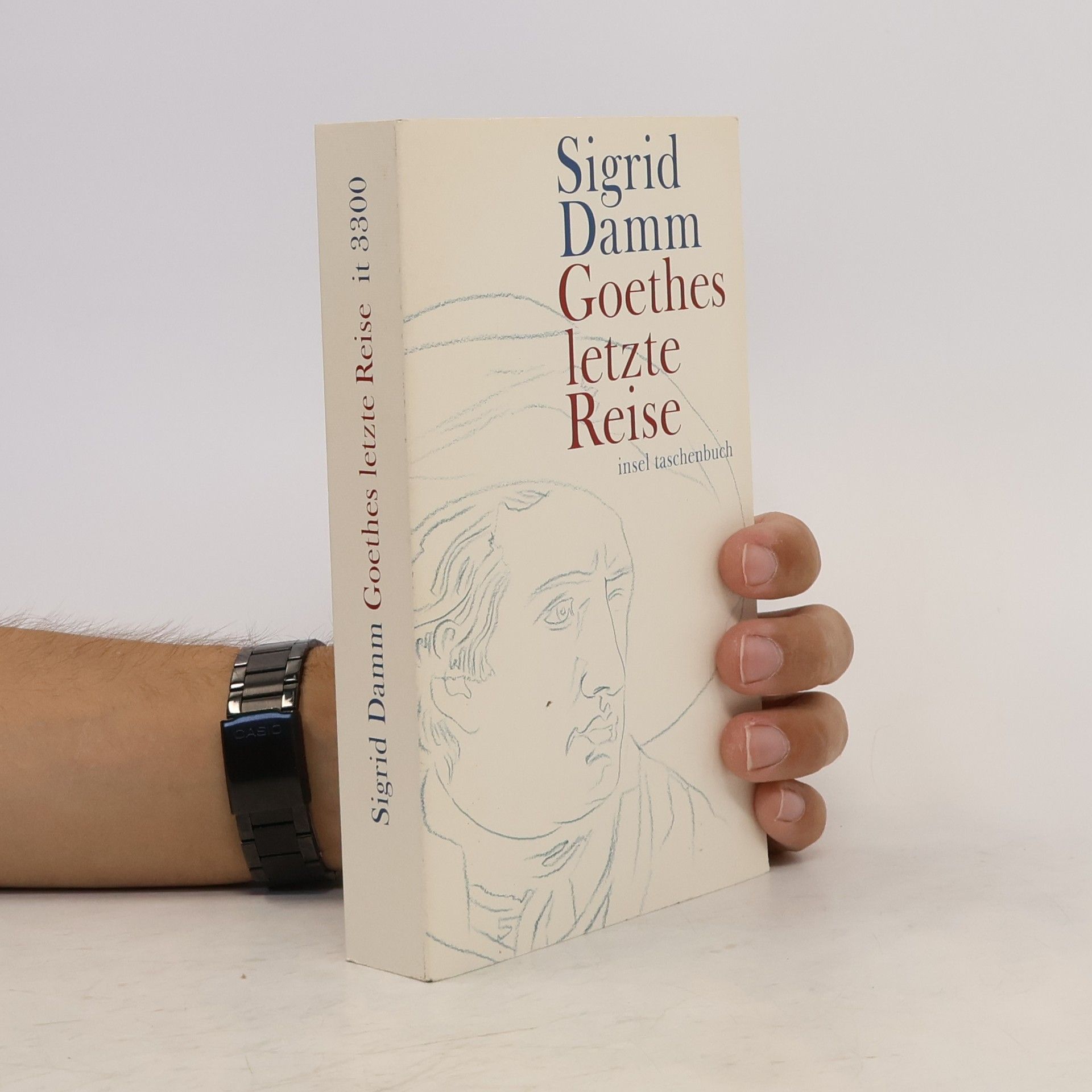 Sigrid Damm Goethes letzte Reise