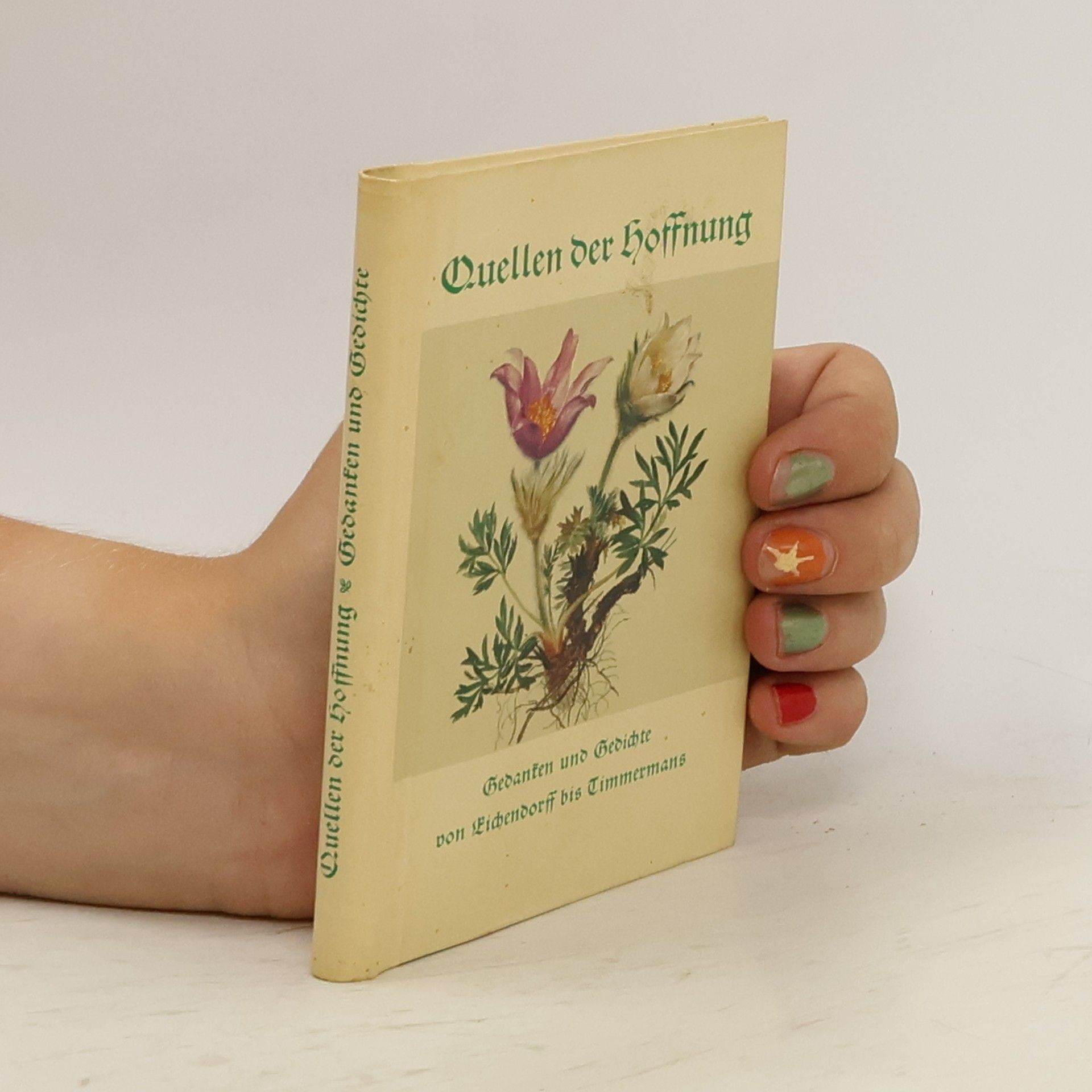 Eugen Hettinger Quellen der Hoffnung