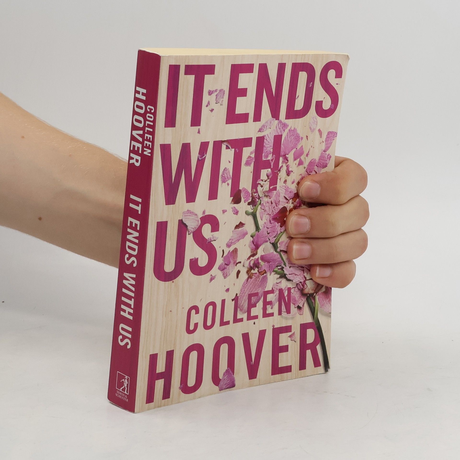 Colleen Hoover It Ends With Us