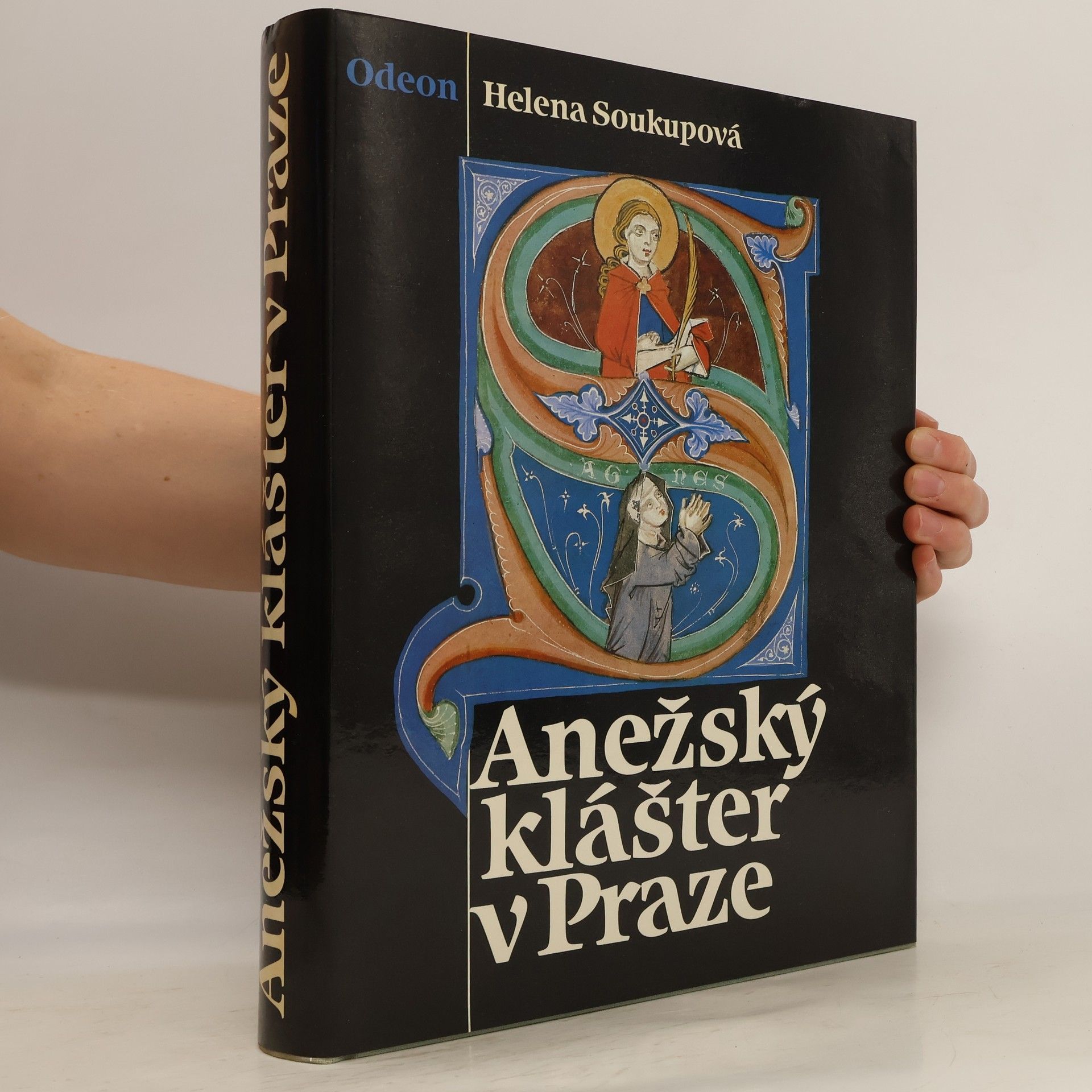 Helena Soukupová Anežský klášter v Praze