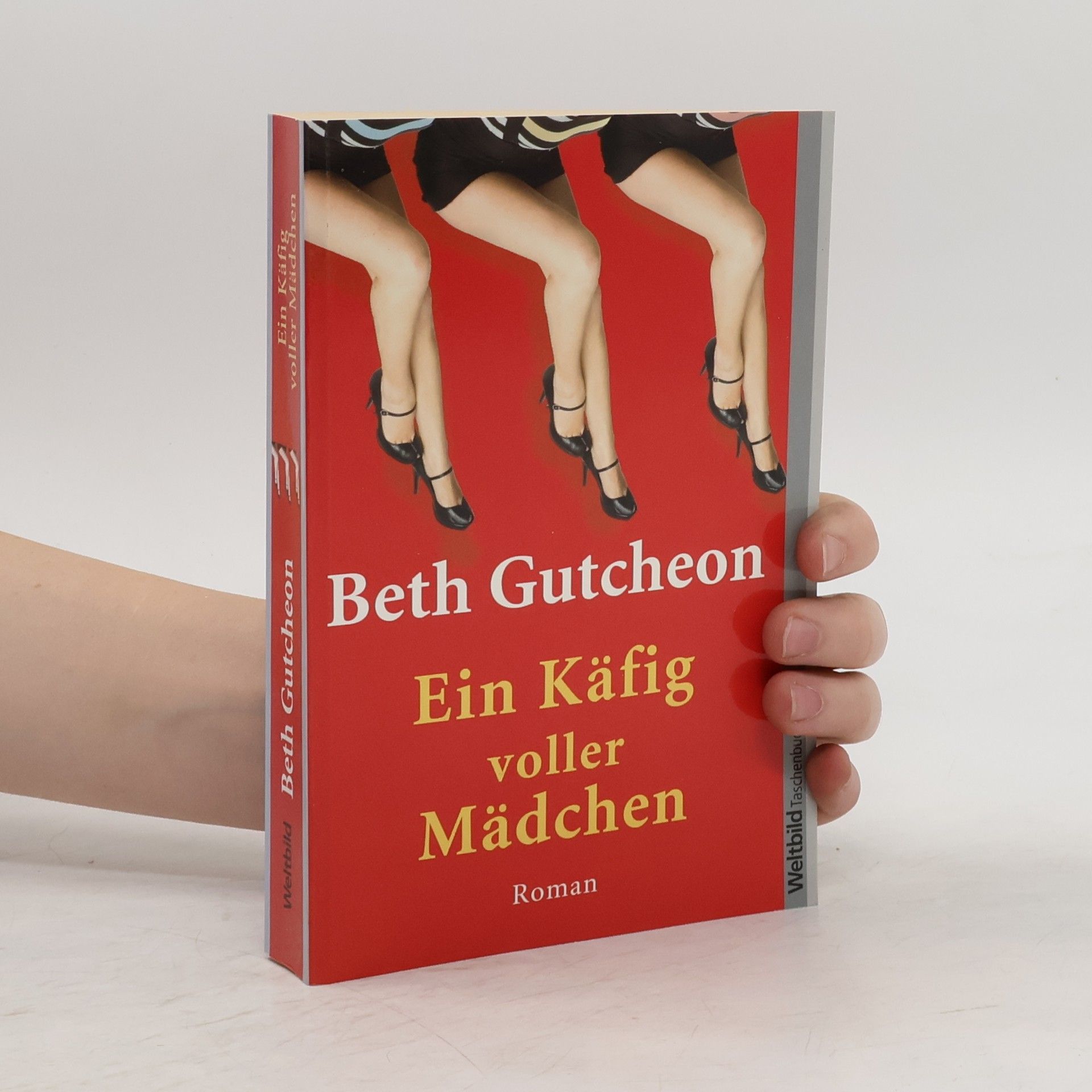 Beth Gutcheon Ein Käfig voller Mädchen