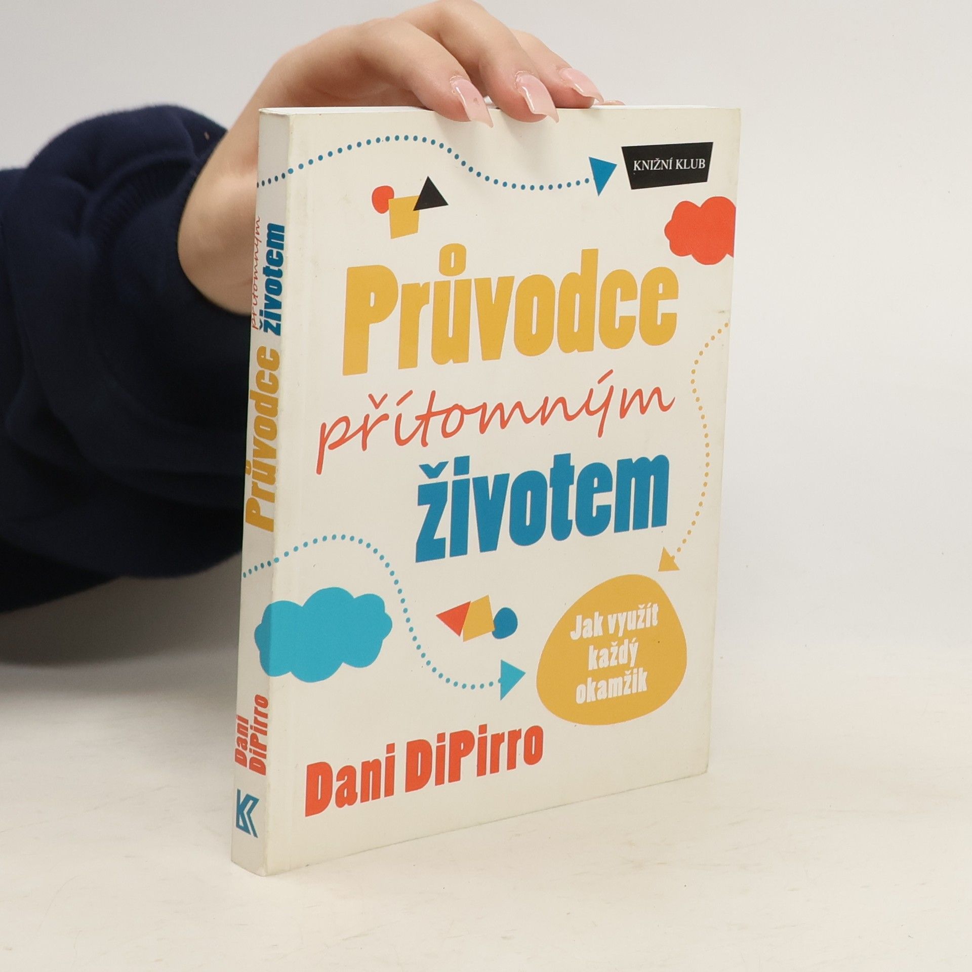 Dani DiPirro Průvodce přítomným životem: Jak využít každý okamžik
