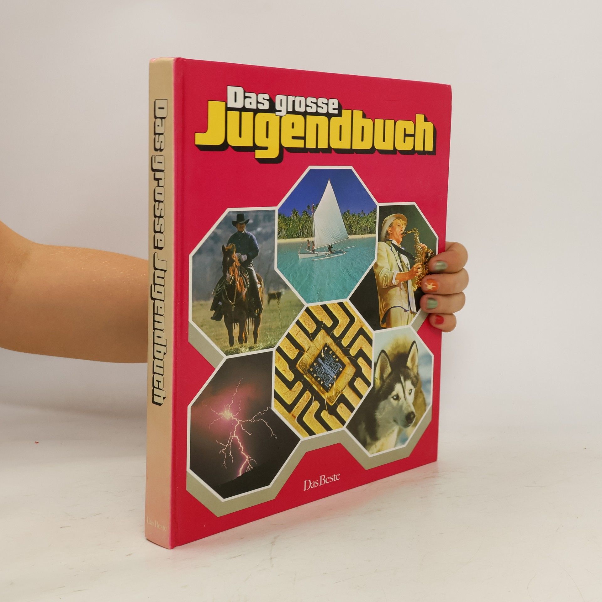 AA.VV. Das große Jugendbuch
