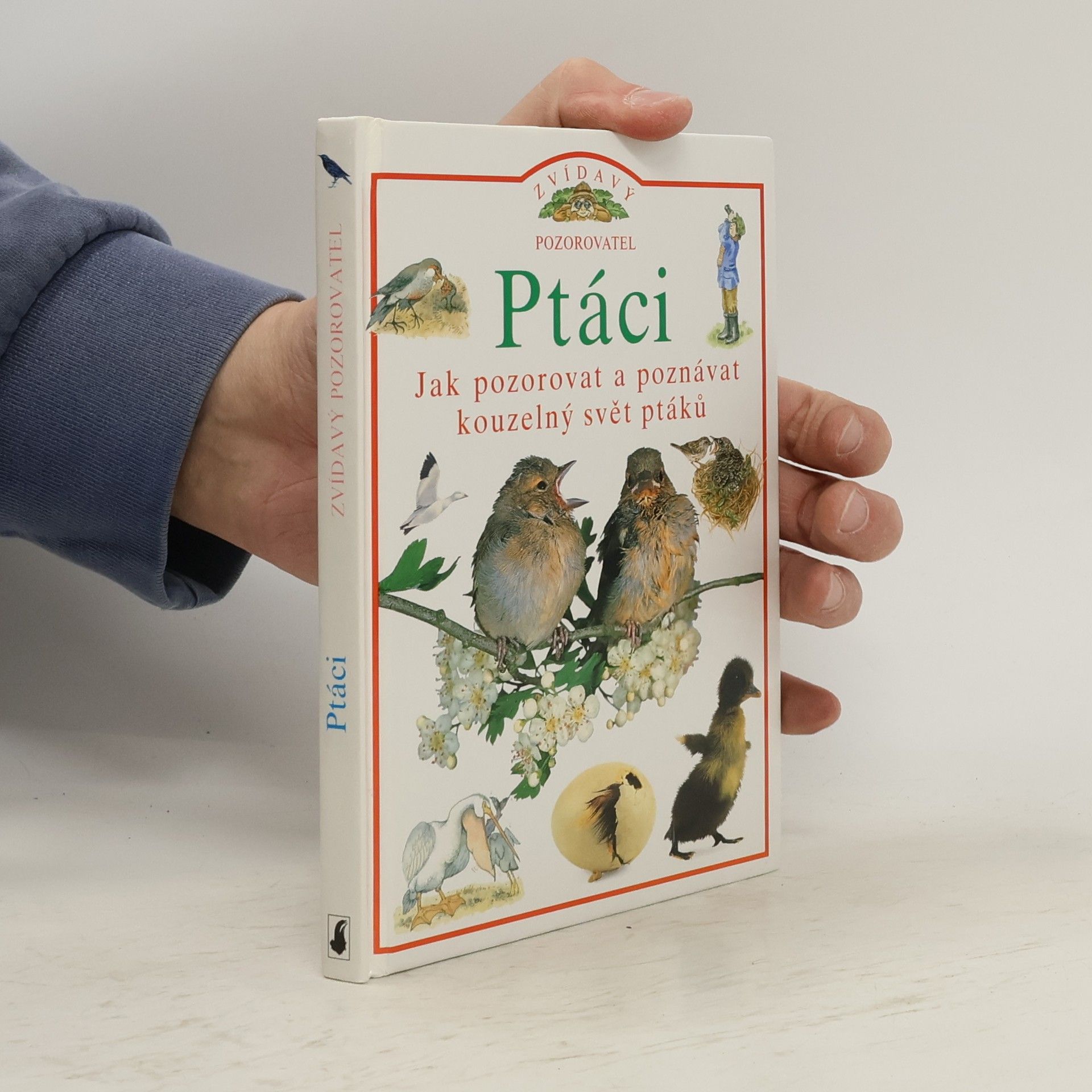 Jill Bailey Ptáci