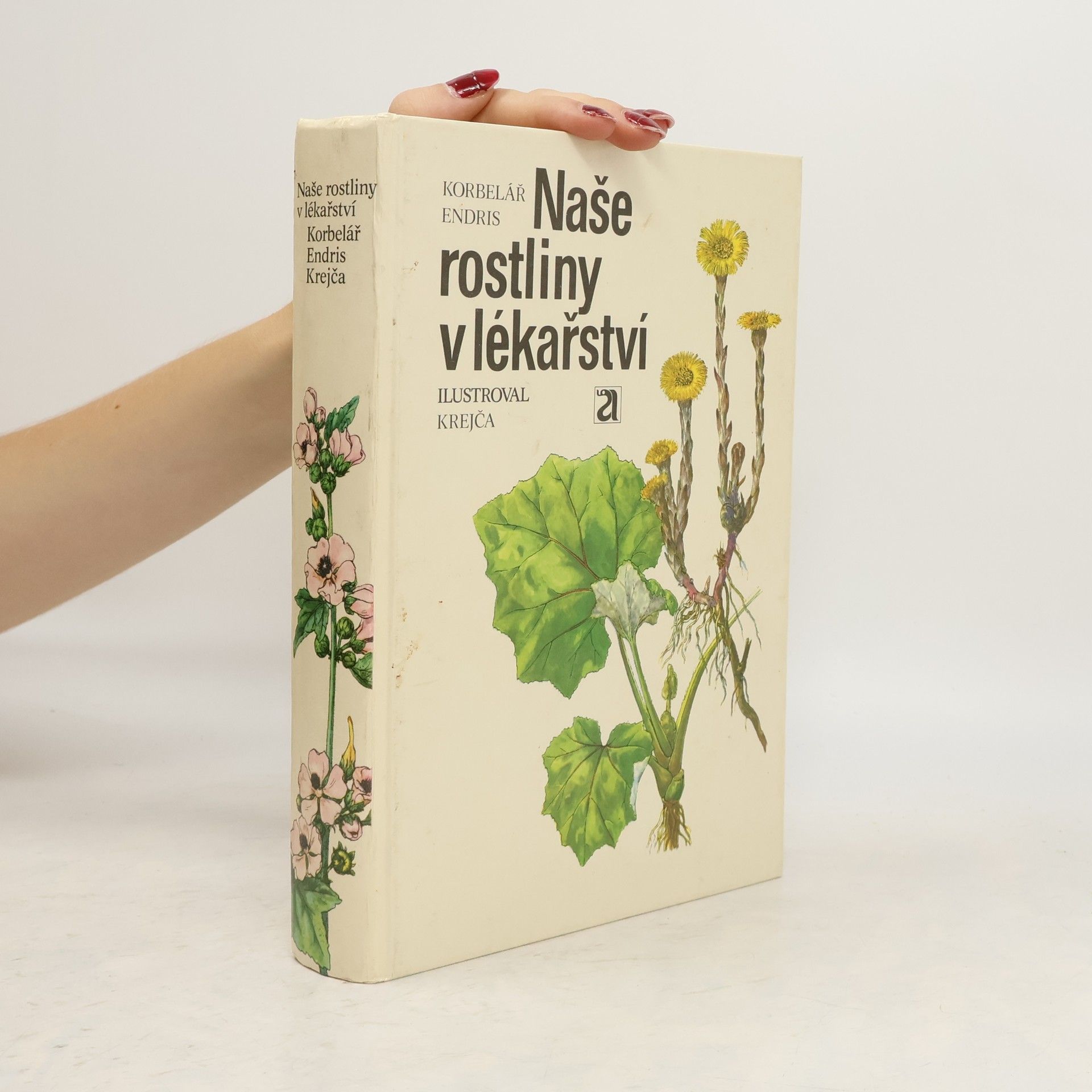 Jaroslav Korbelář Naše rostliny v lékařství