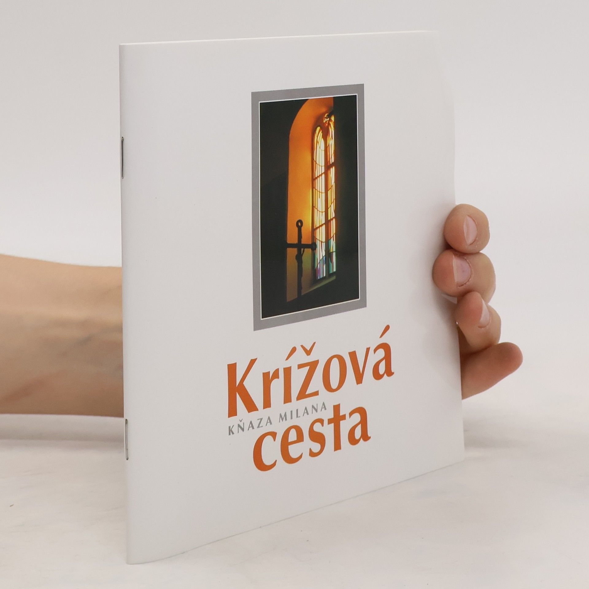 Kolektív autorov Krížová cesta kňaza Milana
