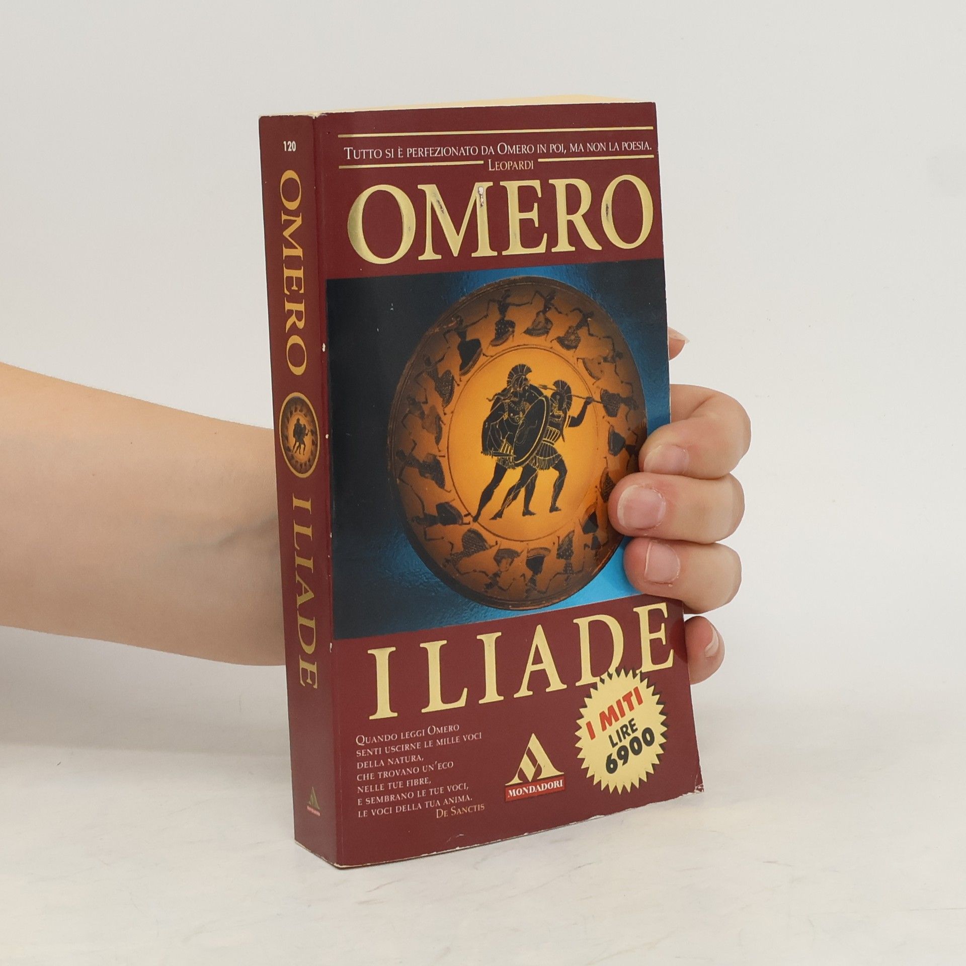 Homère Iliade