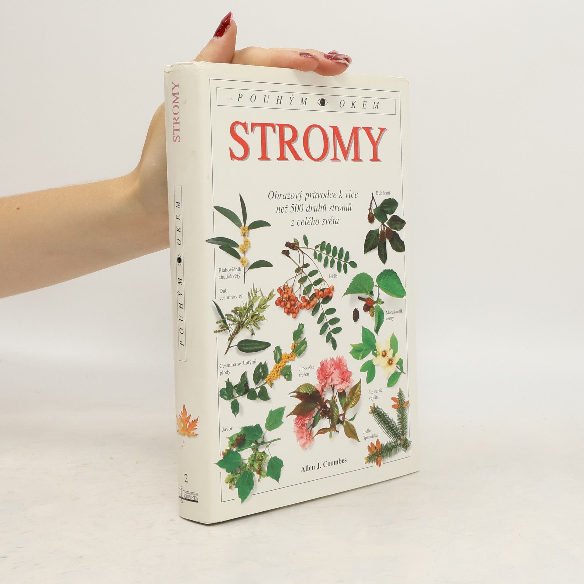 Allen J. Coombes Stromy