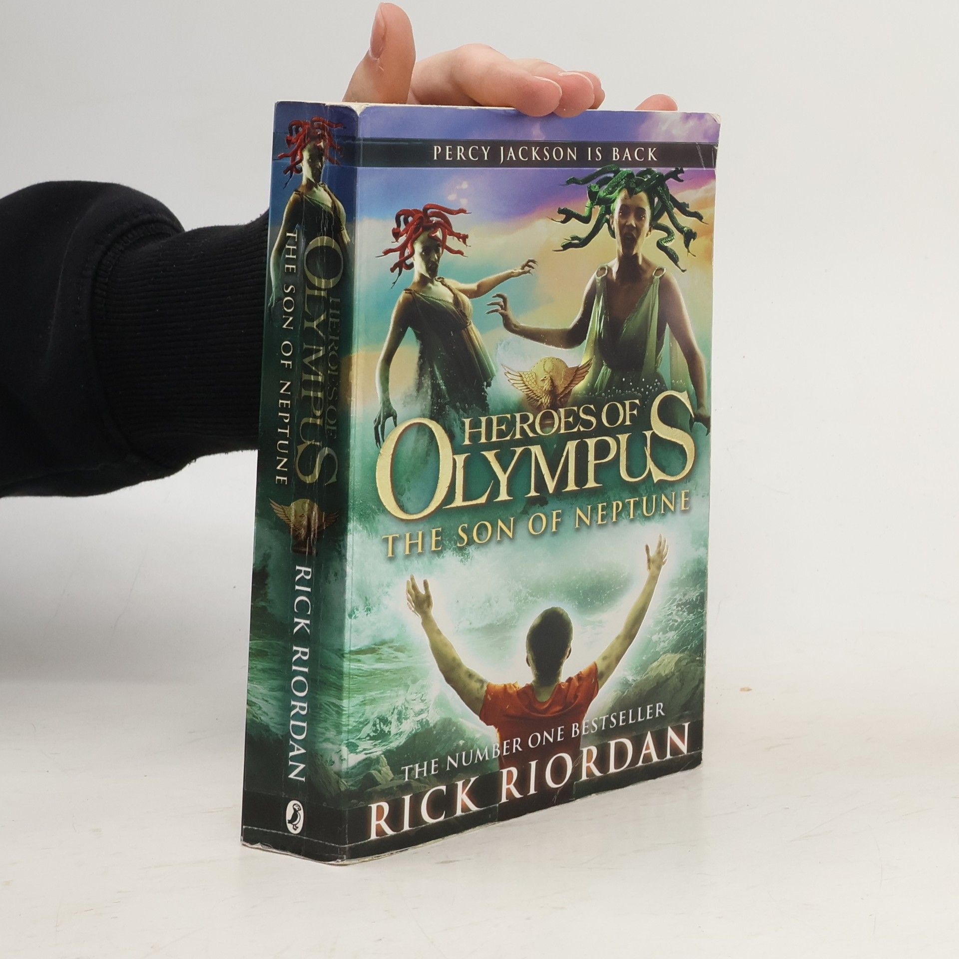 Rick Riordan Heroes of Olympus. The son of Neptune