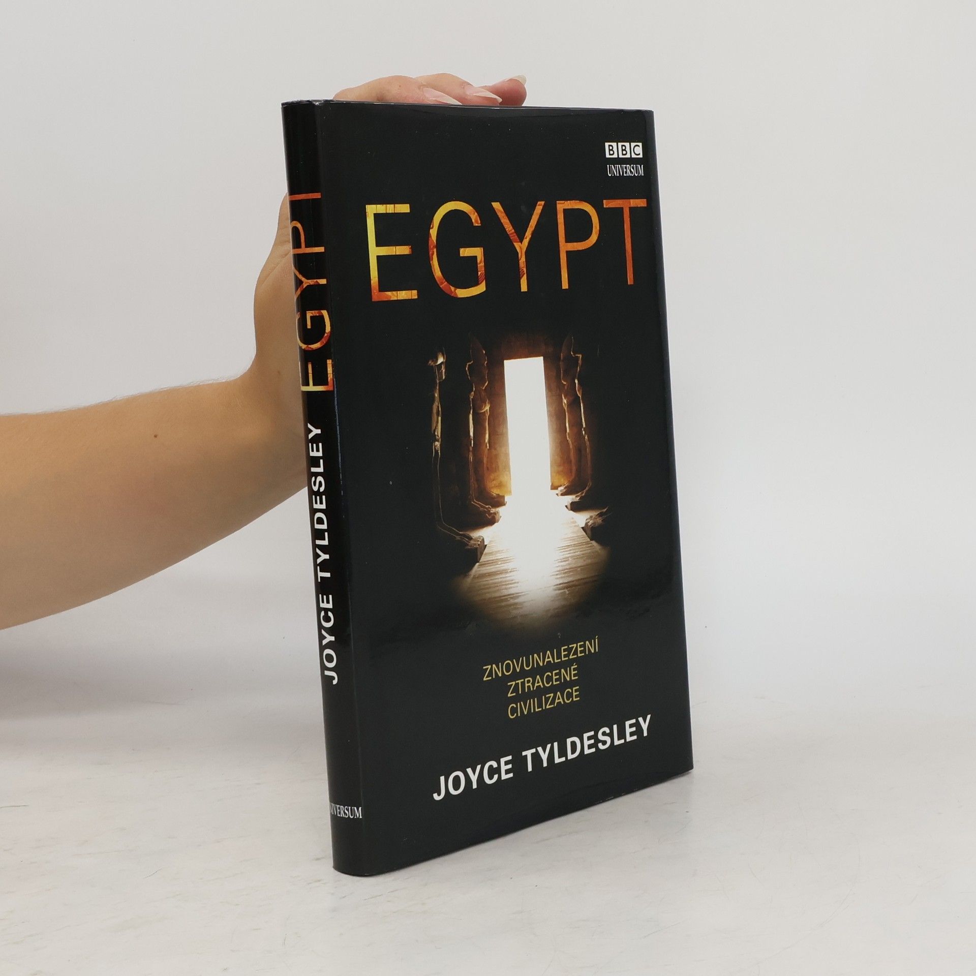 Joyce Tyldesley Egypt: Znovunalezení ztracené civilizace