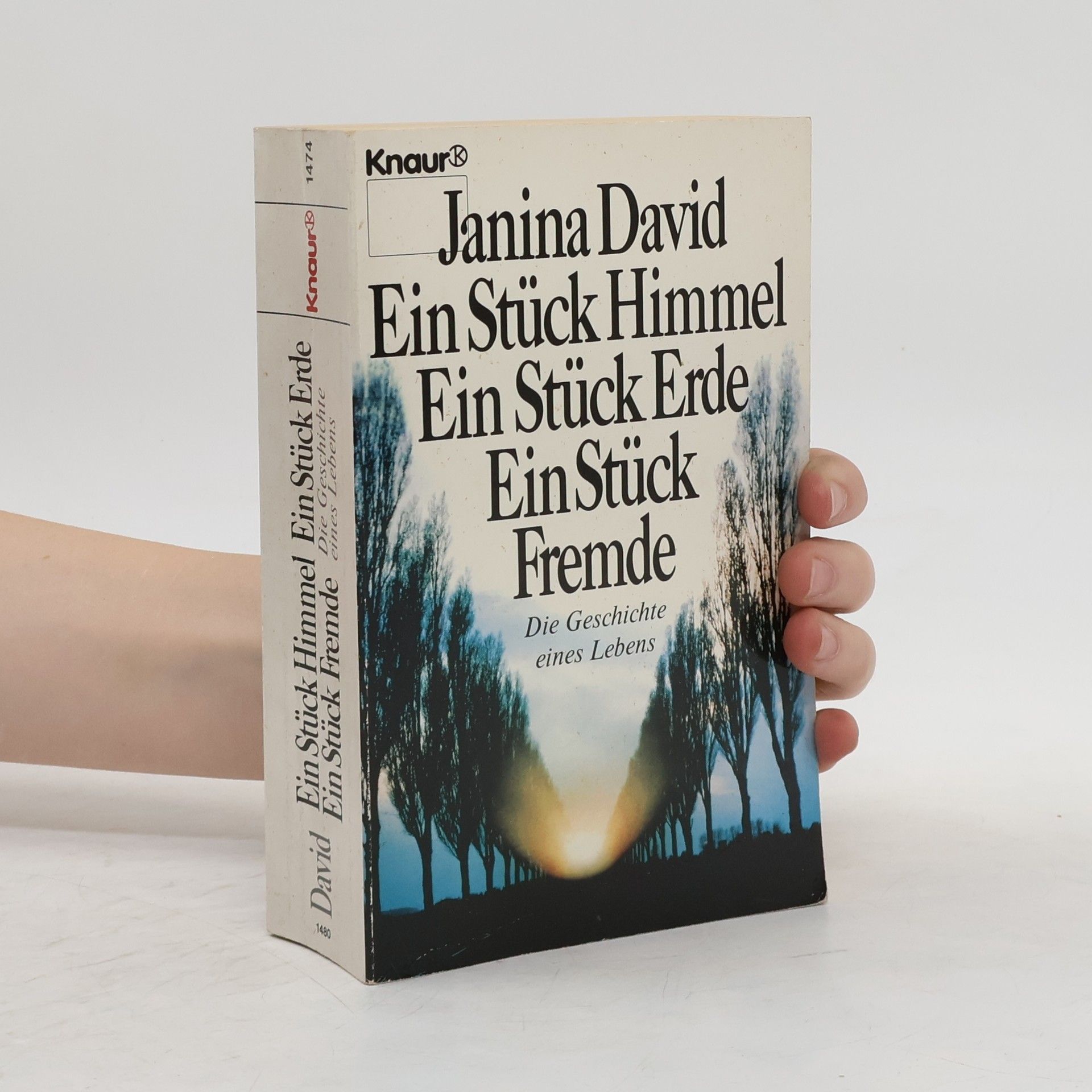 Janina David Ein Stück Himmel
