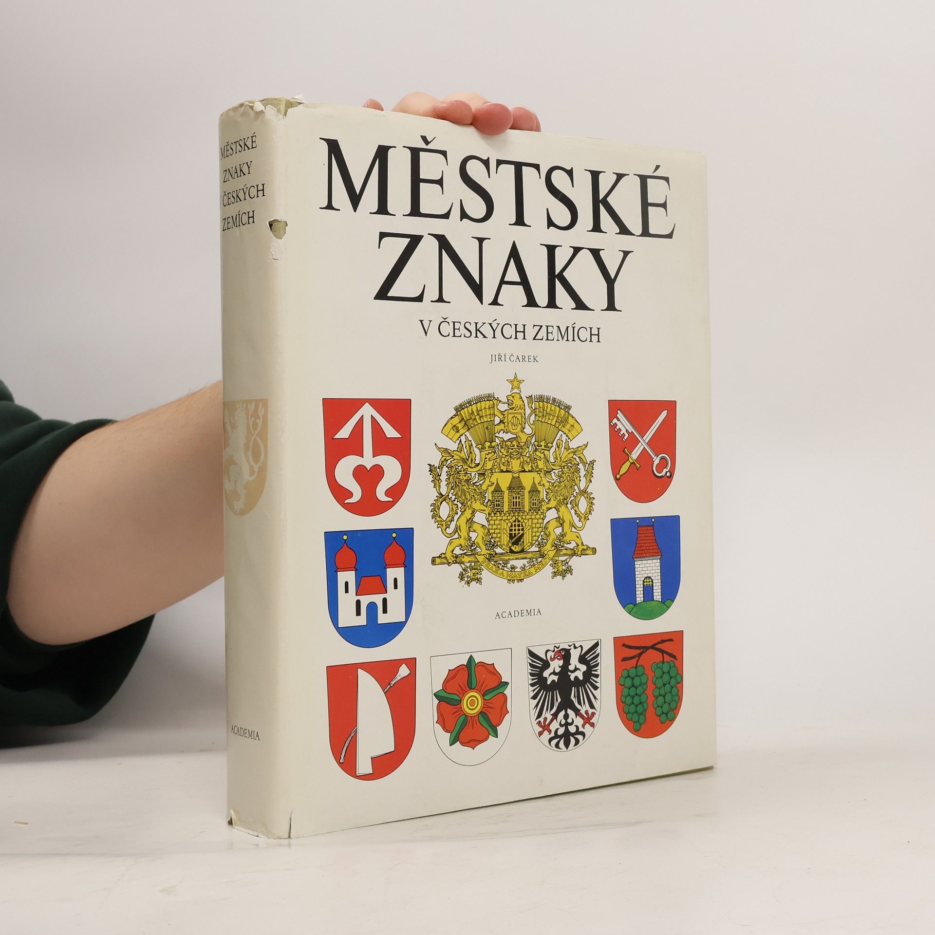 Jiří Čarek Městské znaky v českých zemích