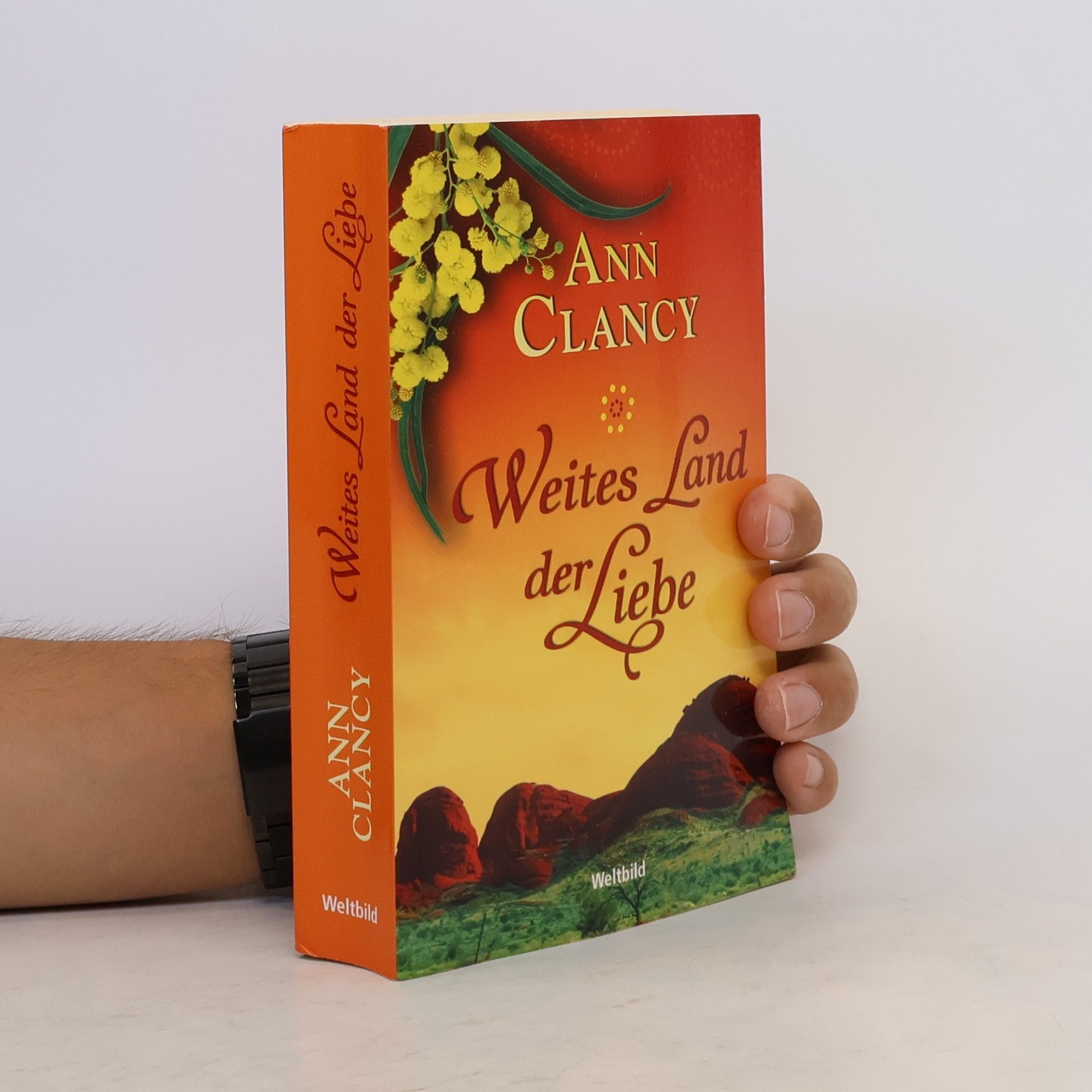 Ann Clancy Weites Land der Liebe