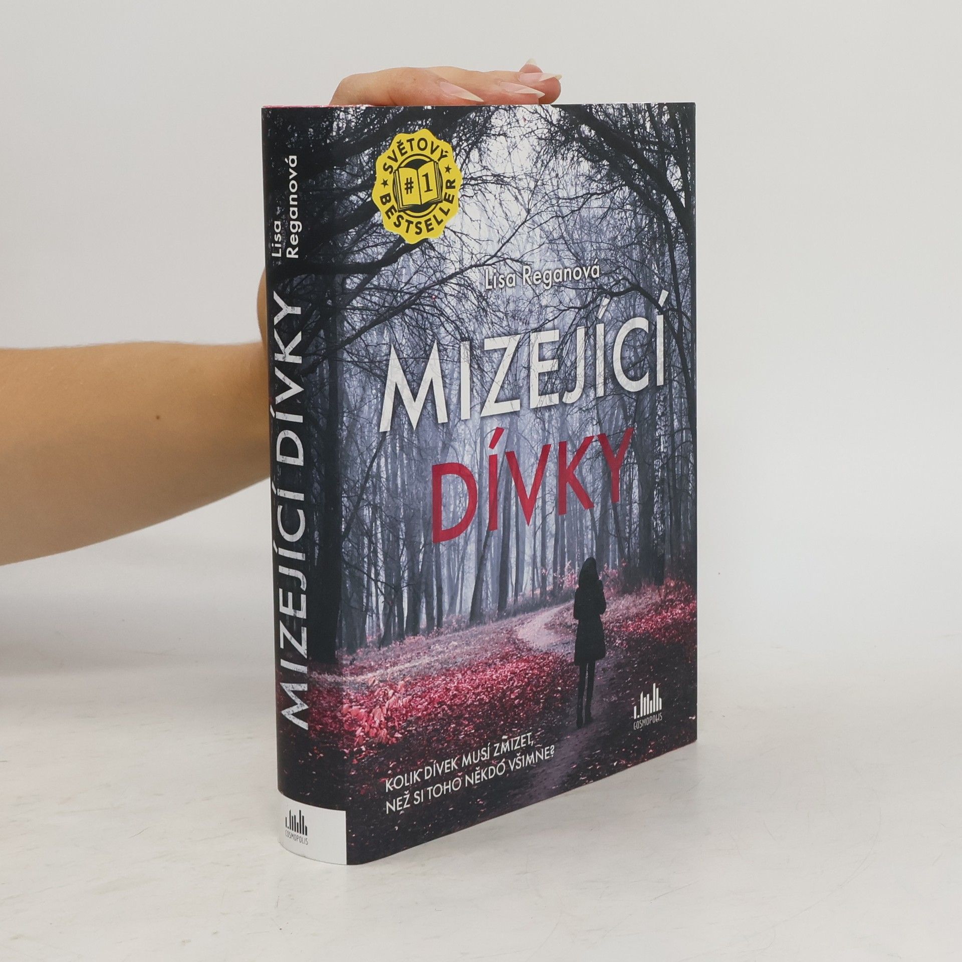Lisa Regan Mizející dívky