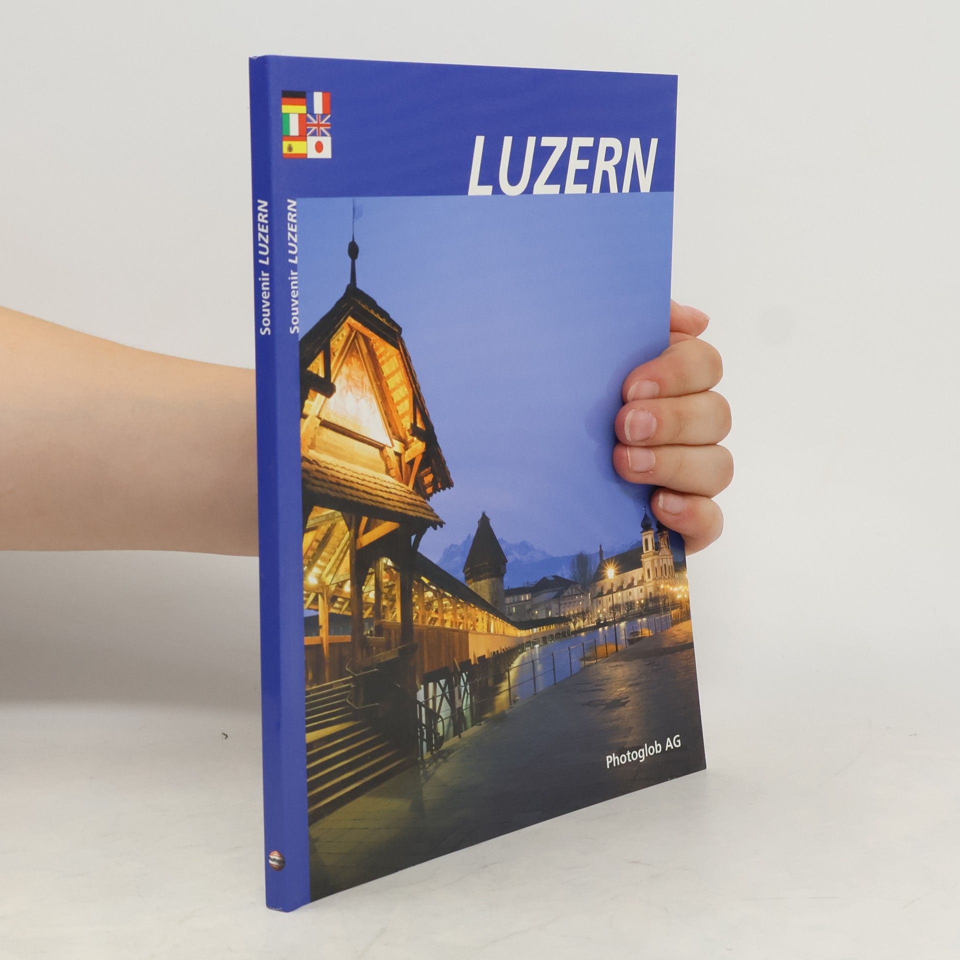 Dino Sassi Luzern