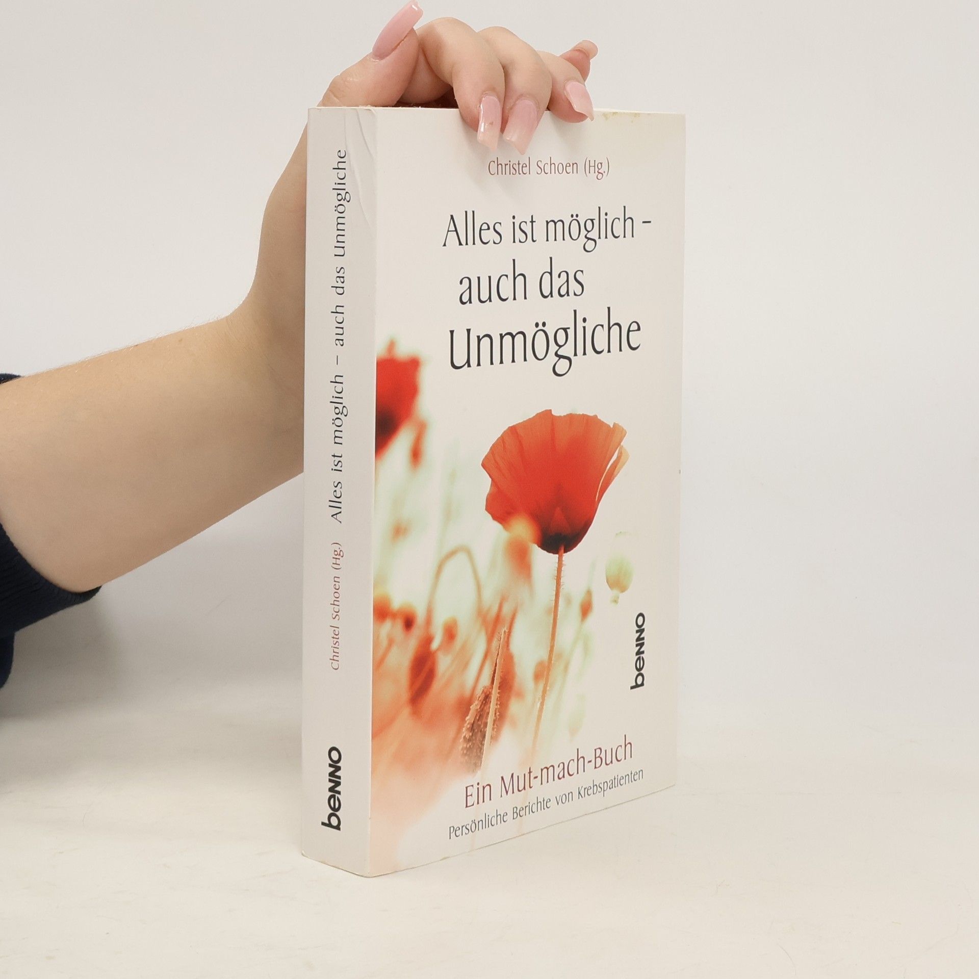 Christel Schoen Alles ist möglich - auch das Unmögliche