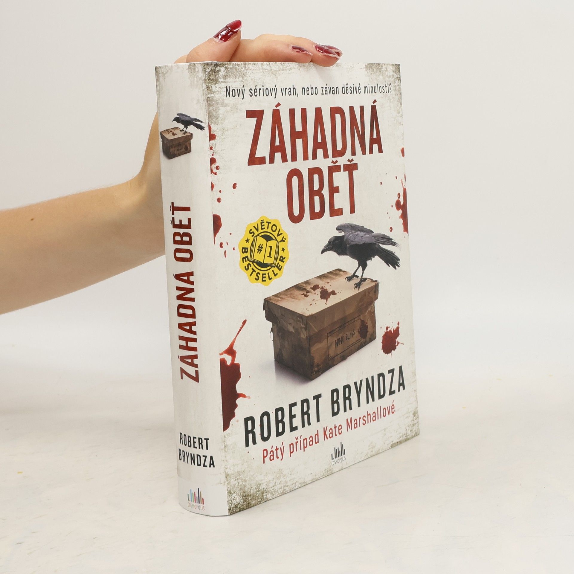 Robert Bryndza Záhadná oběť