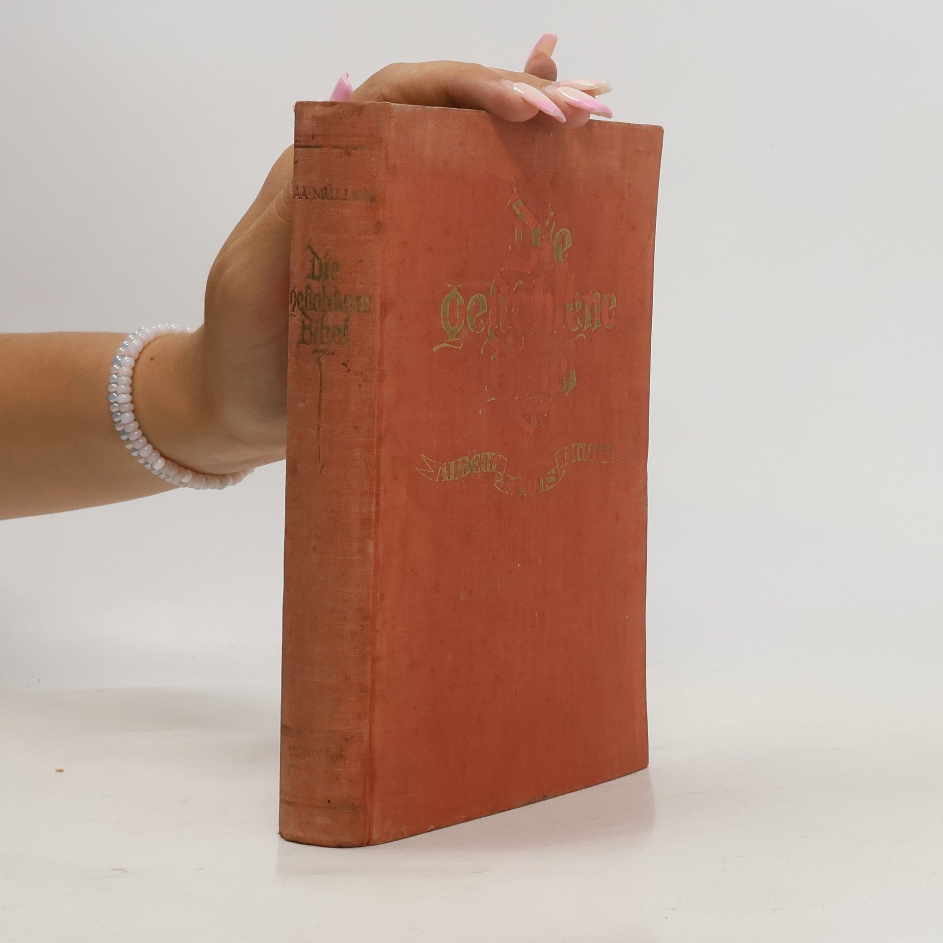 Albert Alois Müller Die gestohlene Bibel