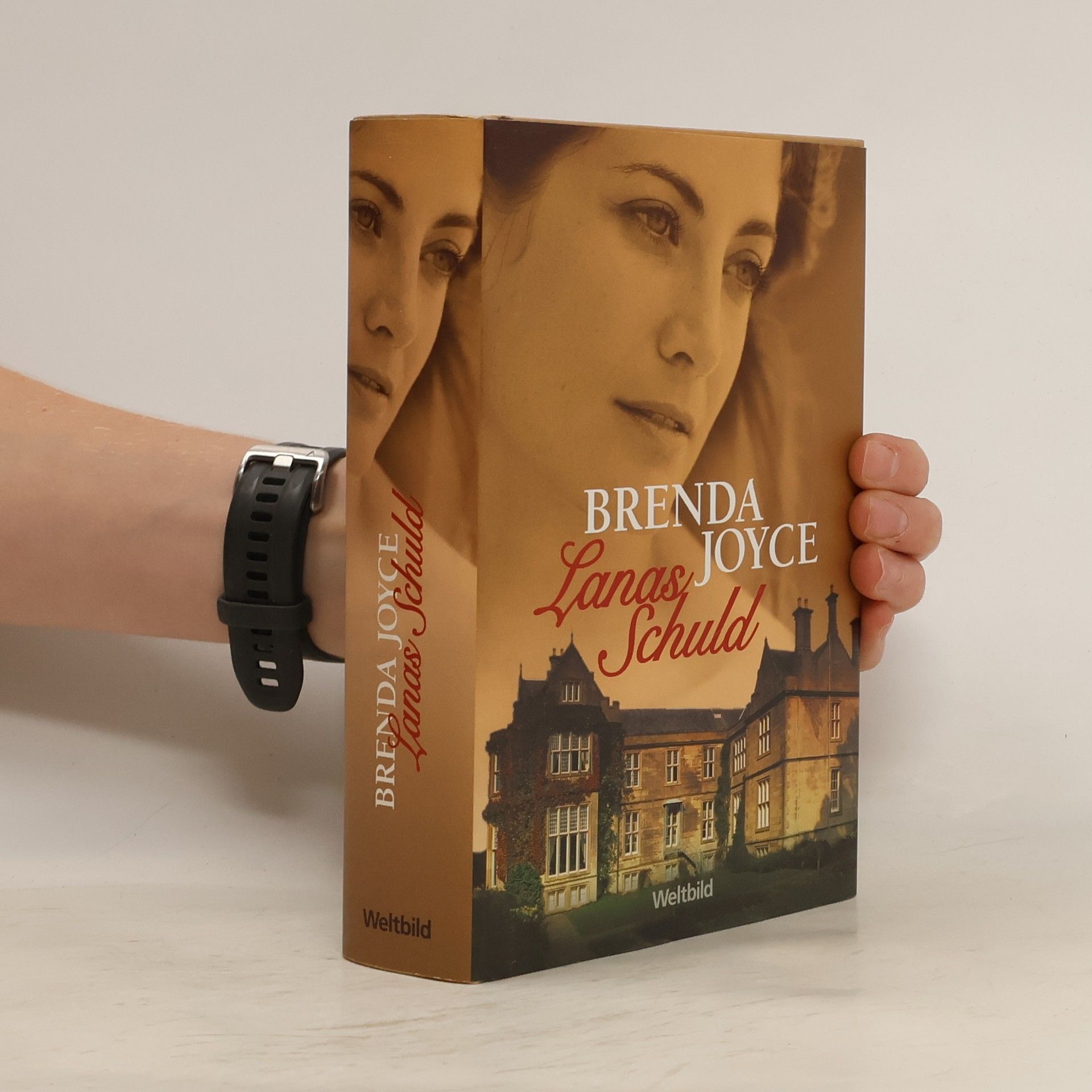 Brenda Joyce Lanas Schuld