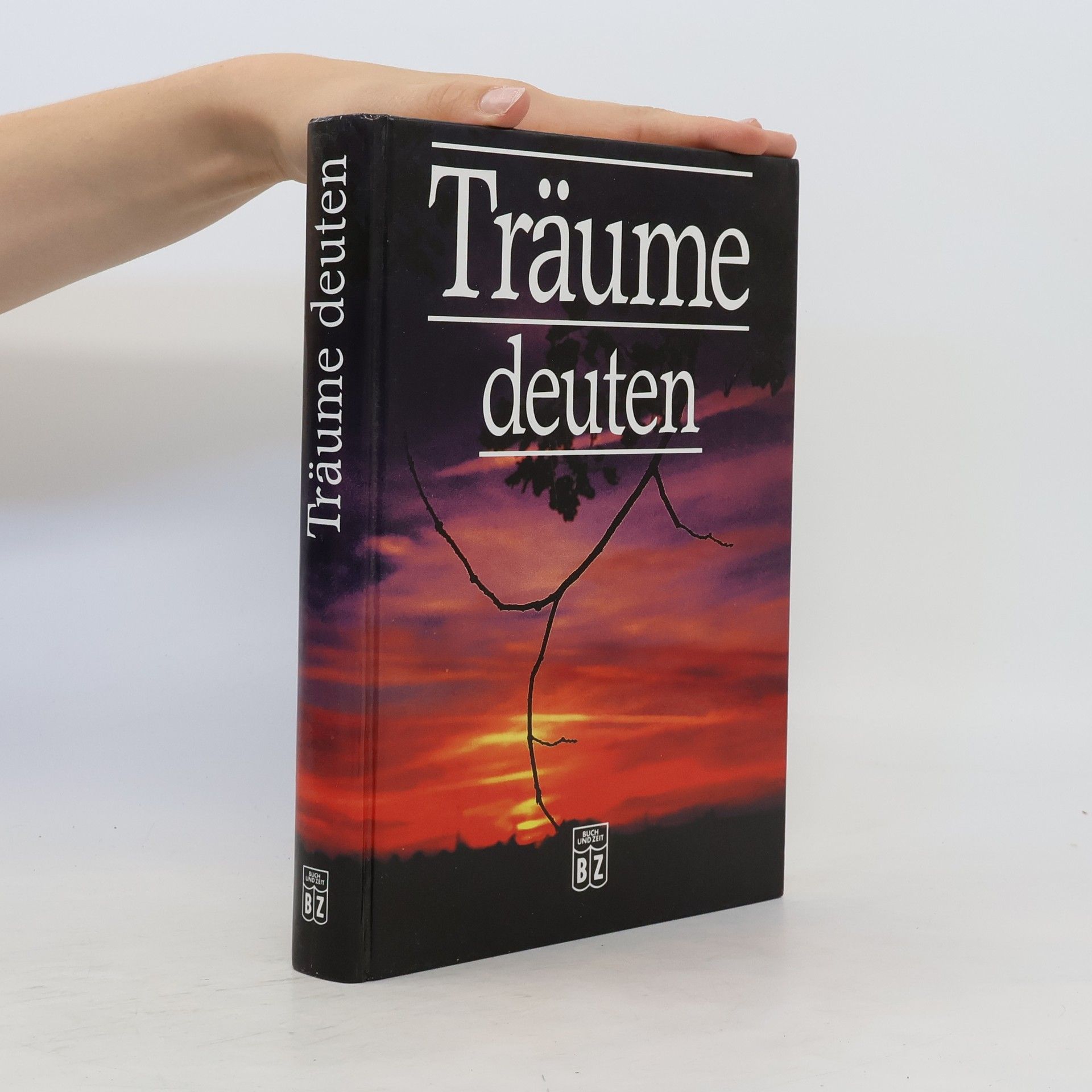 Rolf Faller Träume deuten