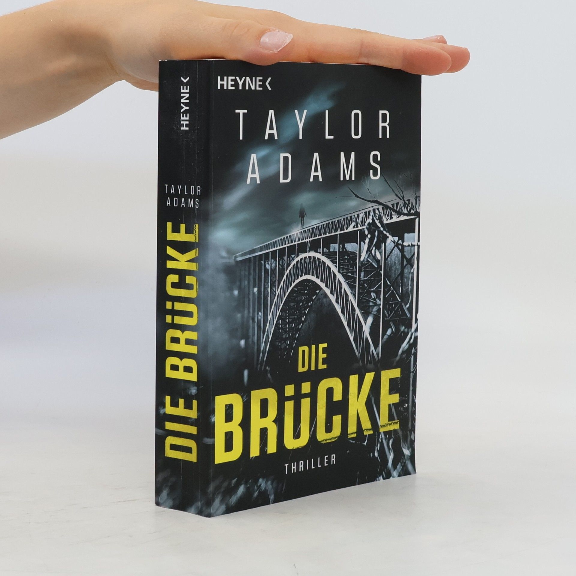Taylor Adams Die Brücke