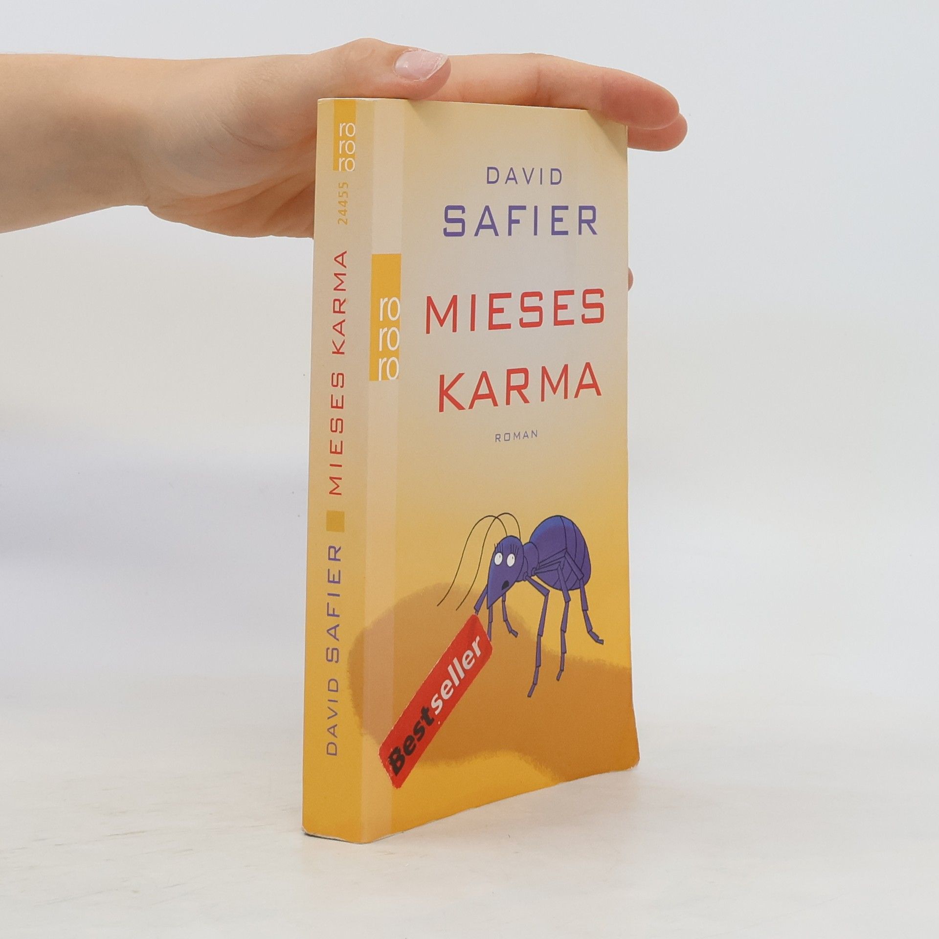 David Safier Mieses Karma