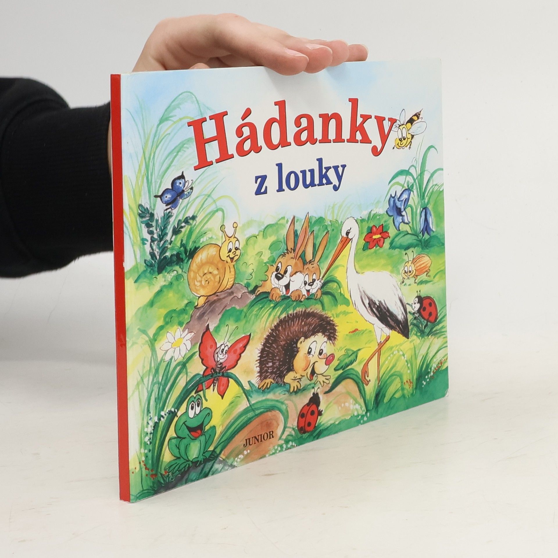 Zuzana Pospíšilová Hádanky z louky