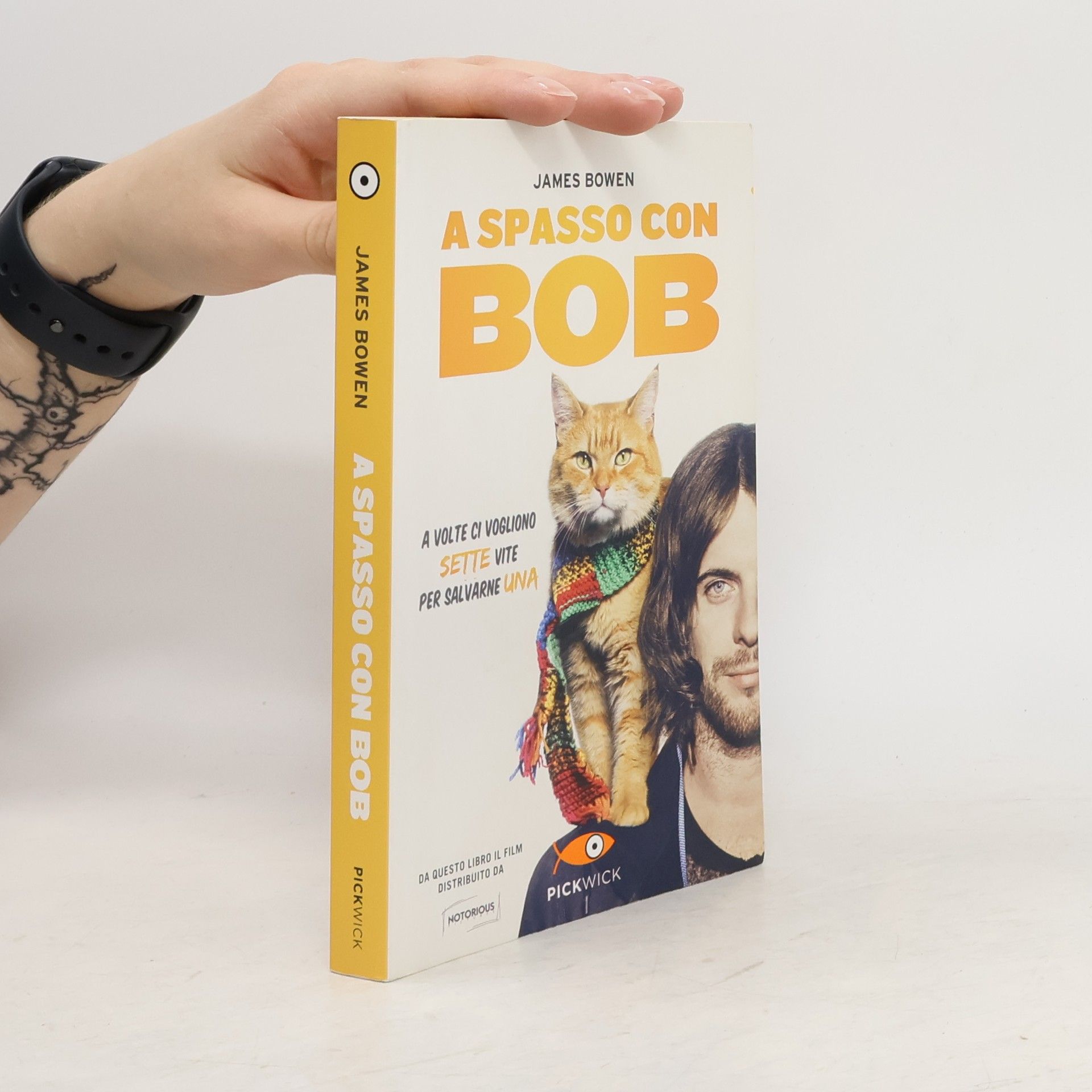 James Bowen A spasso con Bob