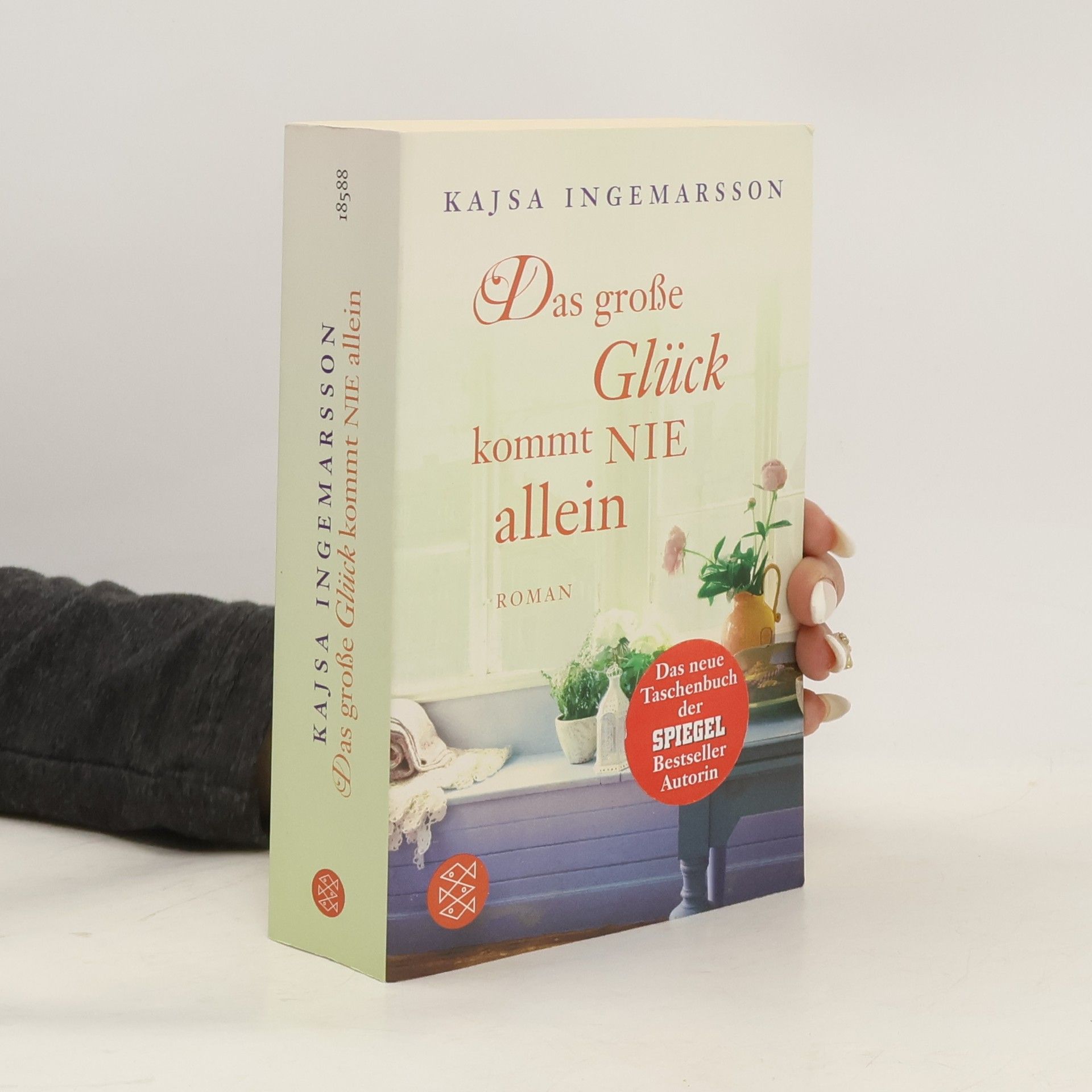 Kajsa Ingemarsson Das grose Glück kommt nie allein