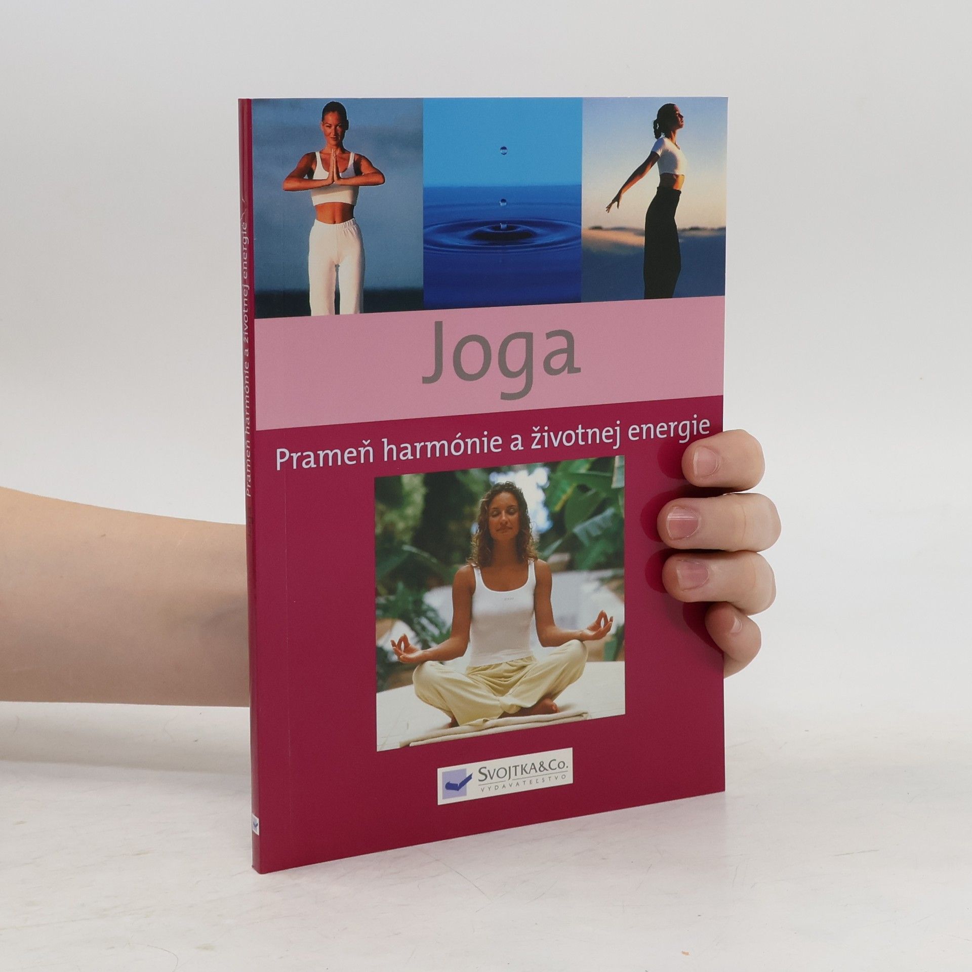 Autorenkollektiv Jóga