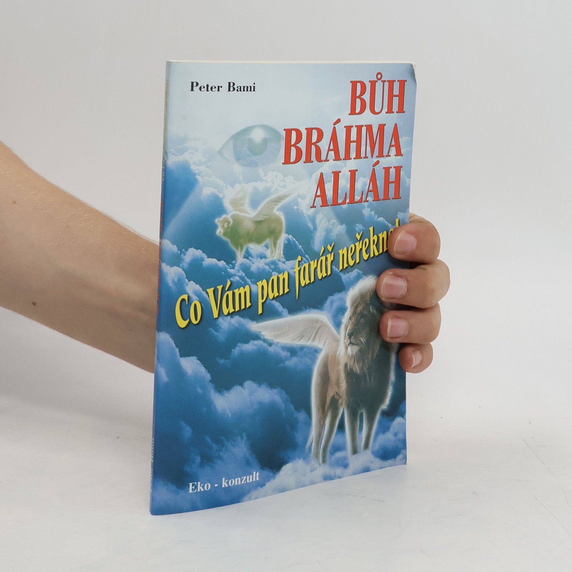 Peter Bami Bůh Bráhma Alláh aneb Co Vám pan farář neřekne