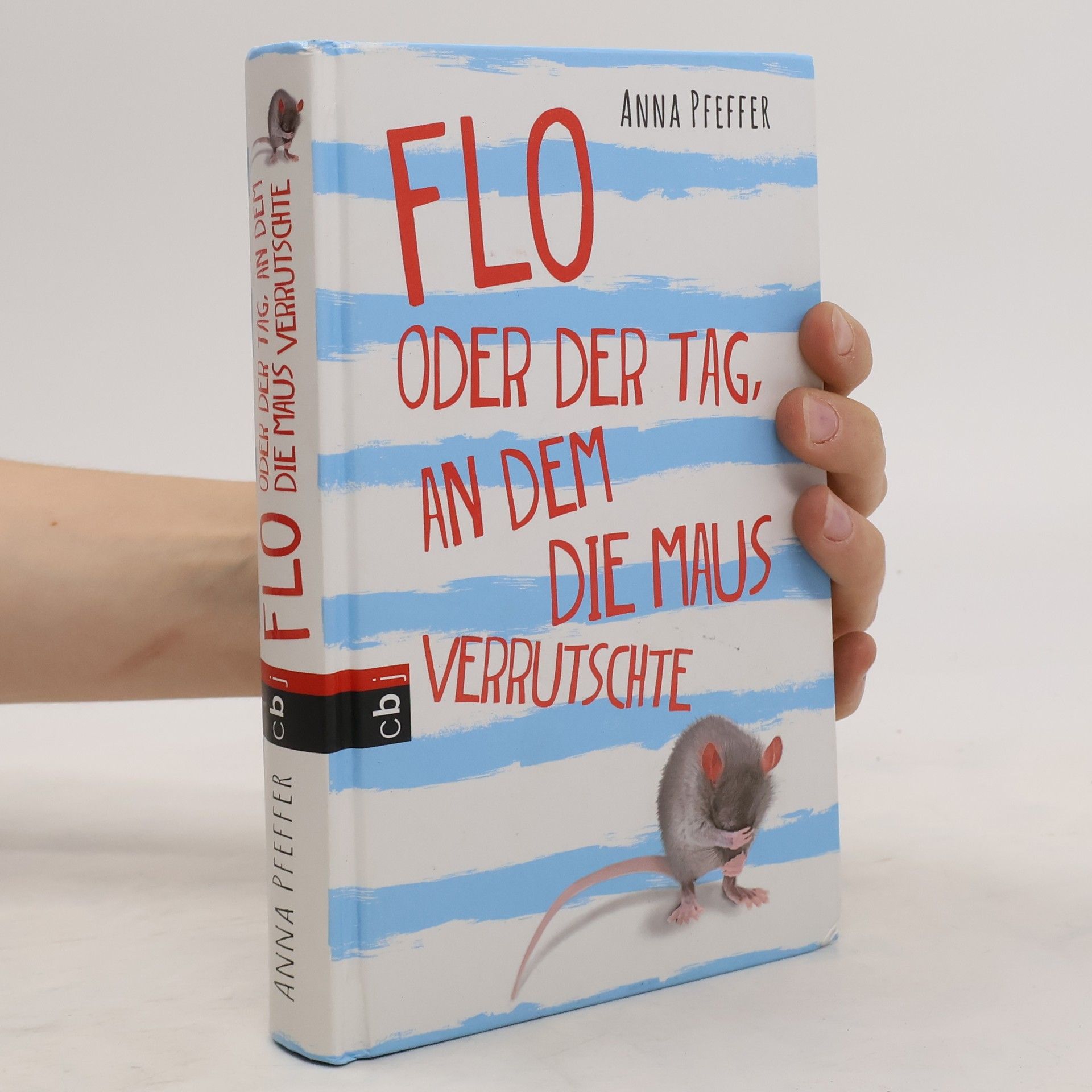 Anna Pfeffer Flo oder der Tag, an dem die Maus verrutschte