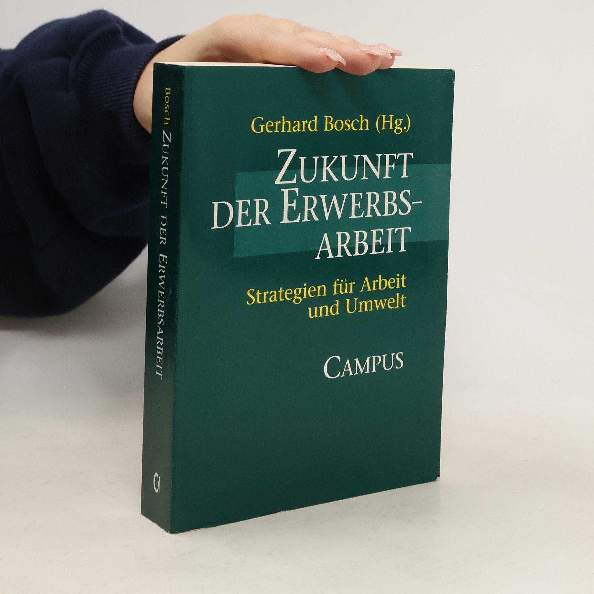 Gerhard Bosch Zukunft der Erwerbsarbeit