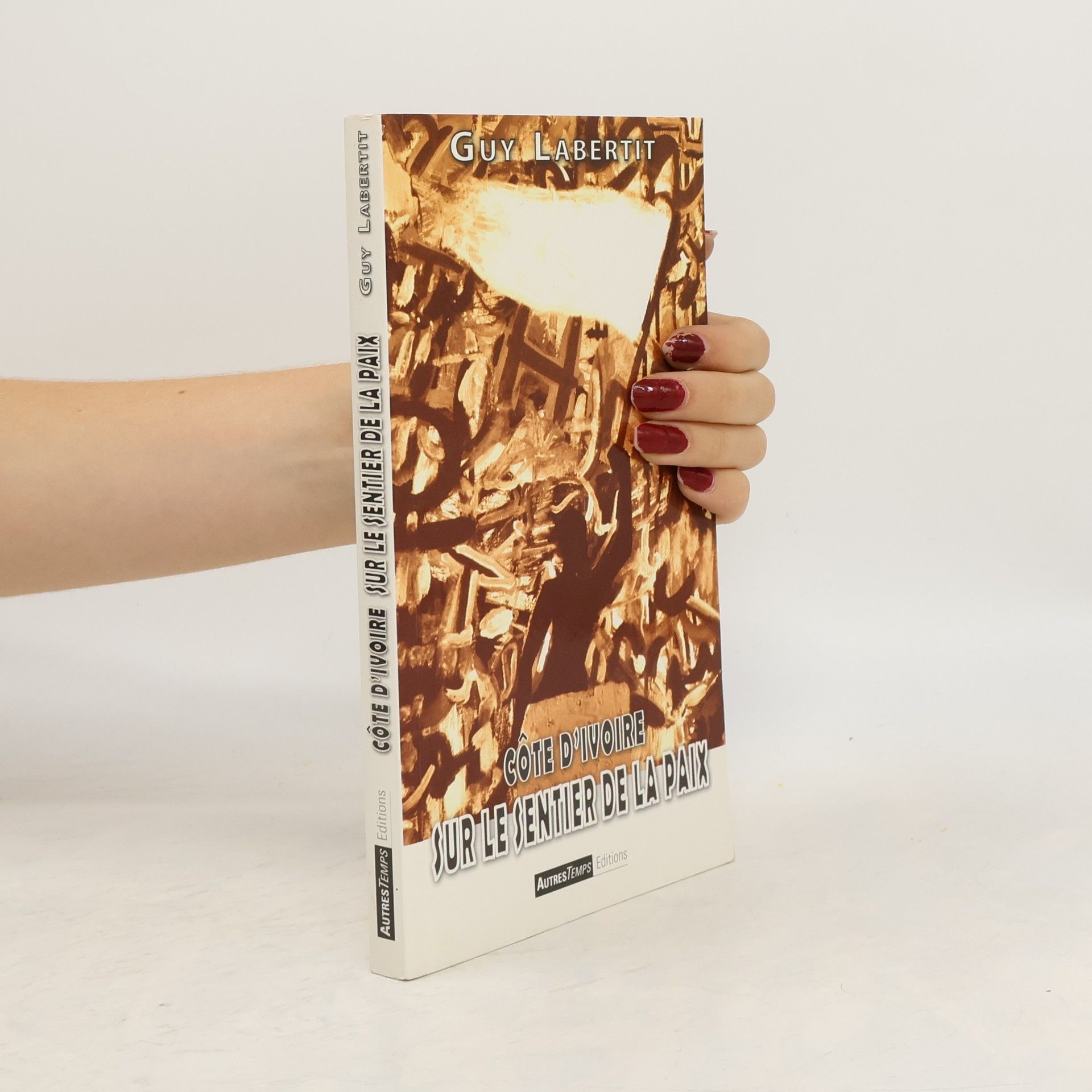 Guy Labertit Côte d'Ivoire, sur le sentier de la paix