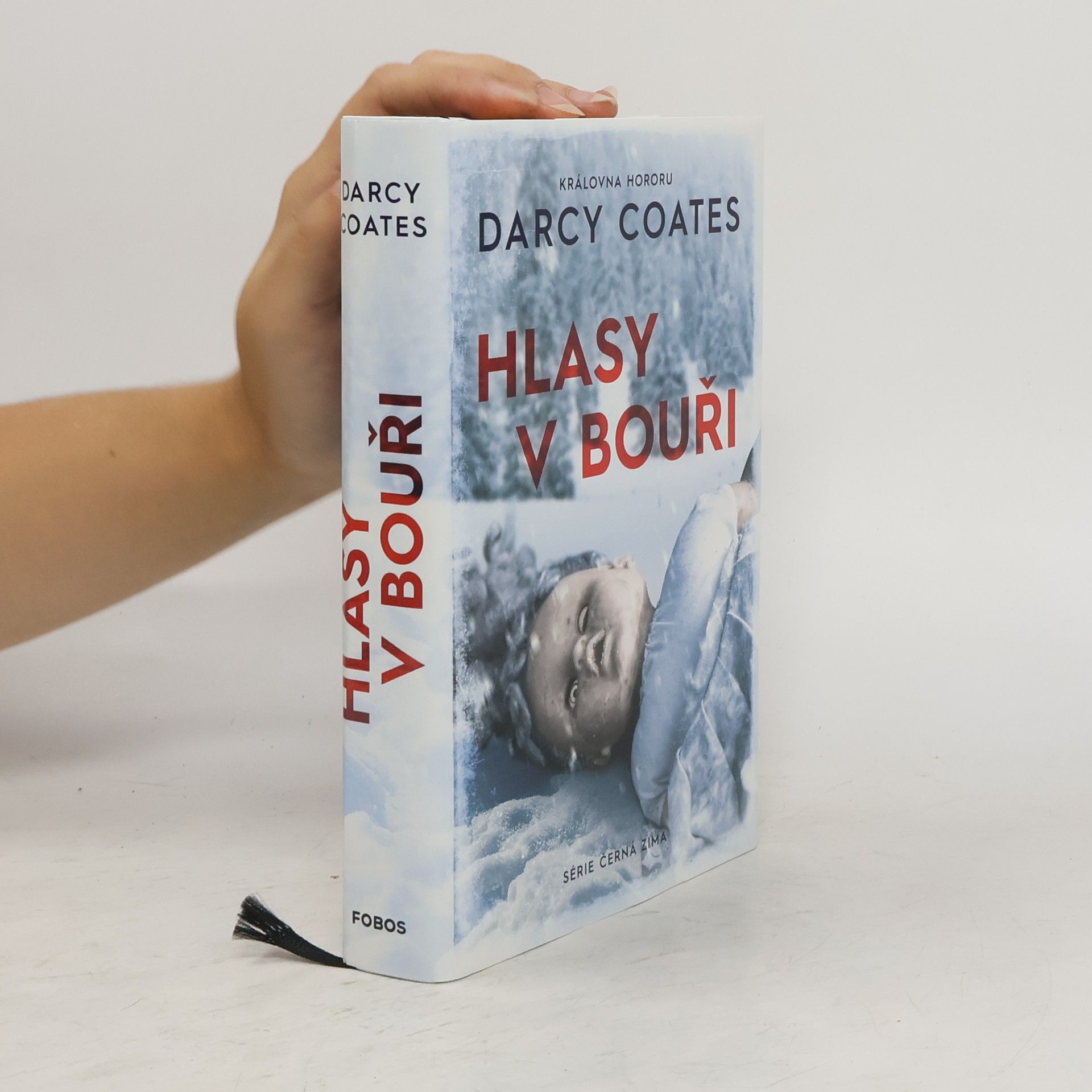 Darcy Coates Hlasy v bouři