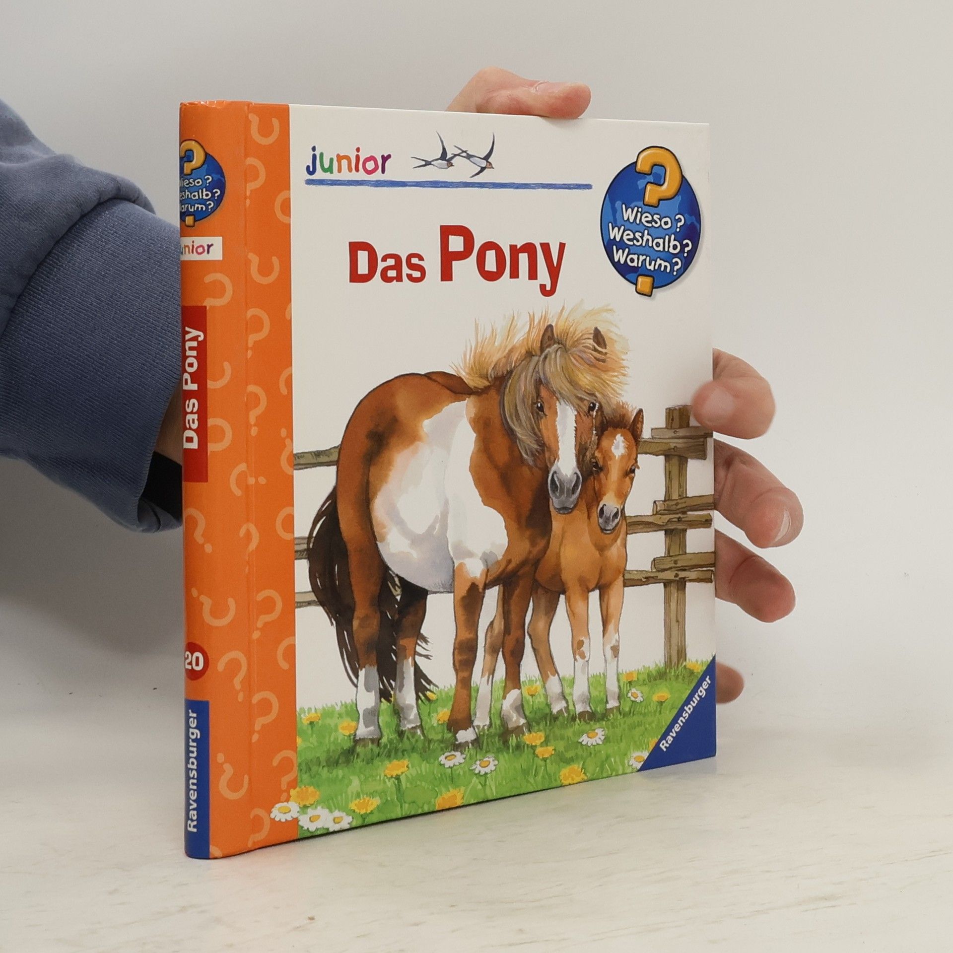 AA.VV. Wieso? Weshalb? Warum?, Band 20: Das Pony
