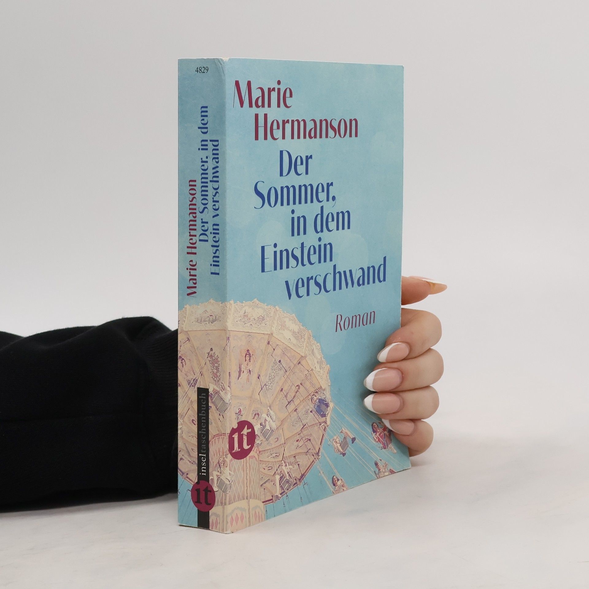 Marie Hermanson Der Sommer, in dem Einstein verschwand