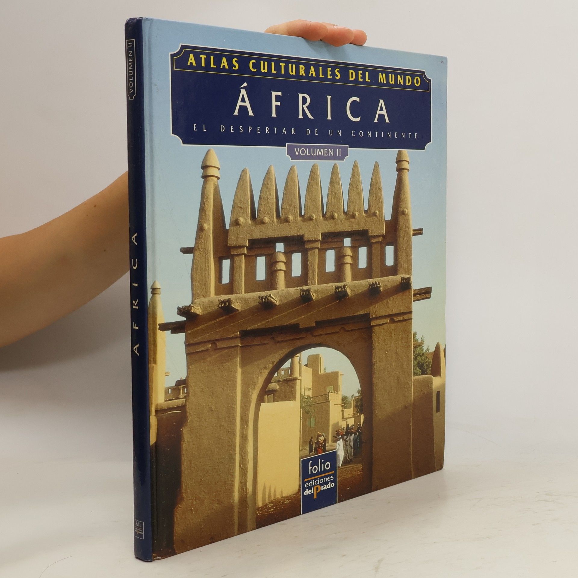 Autores varios África: El despertar de un continente II
