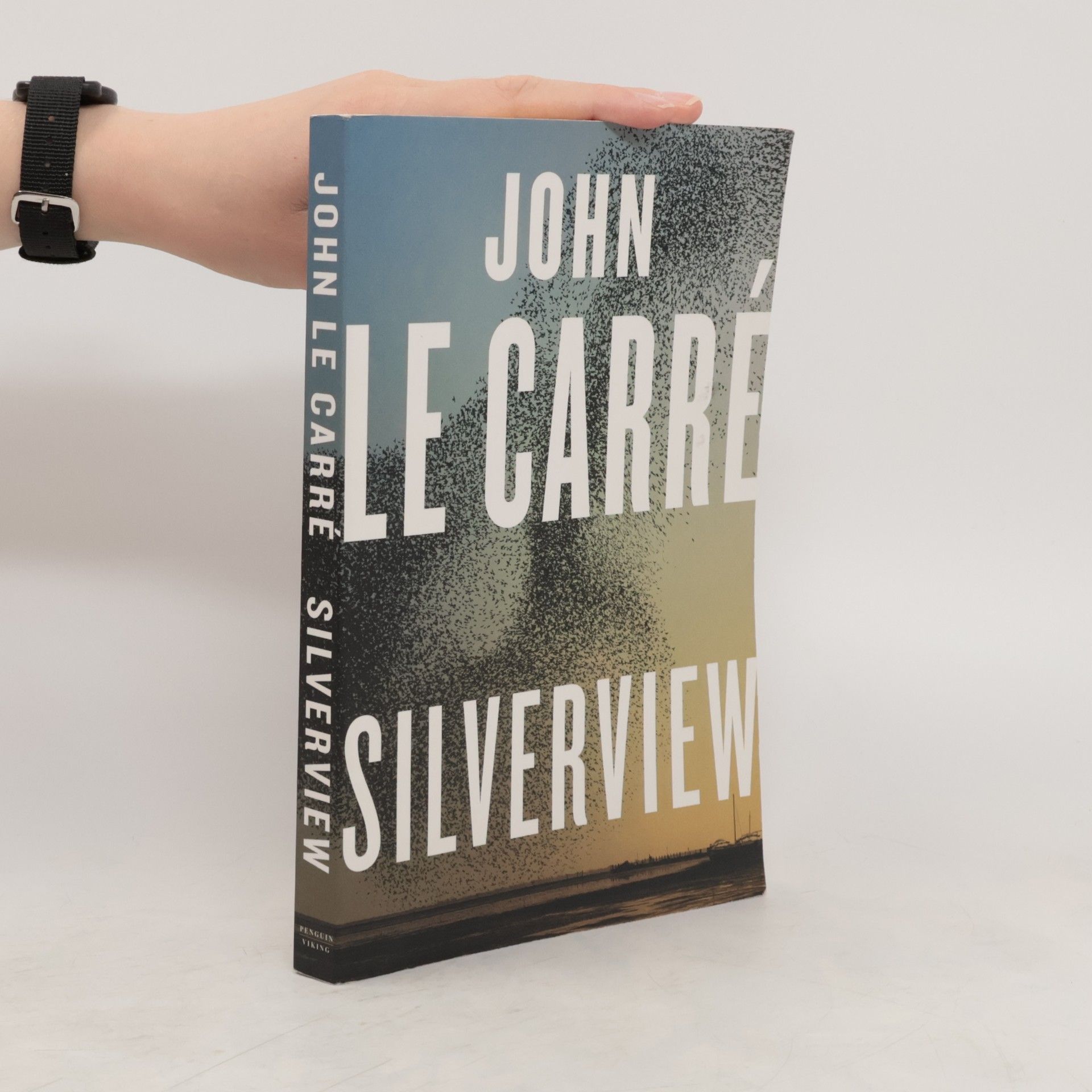 John Le Carré Silverview