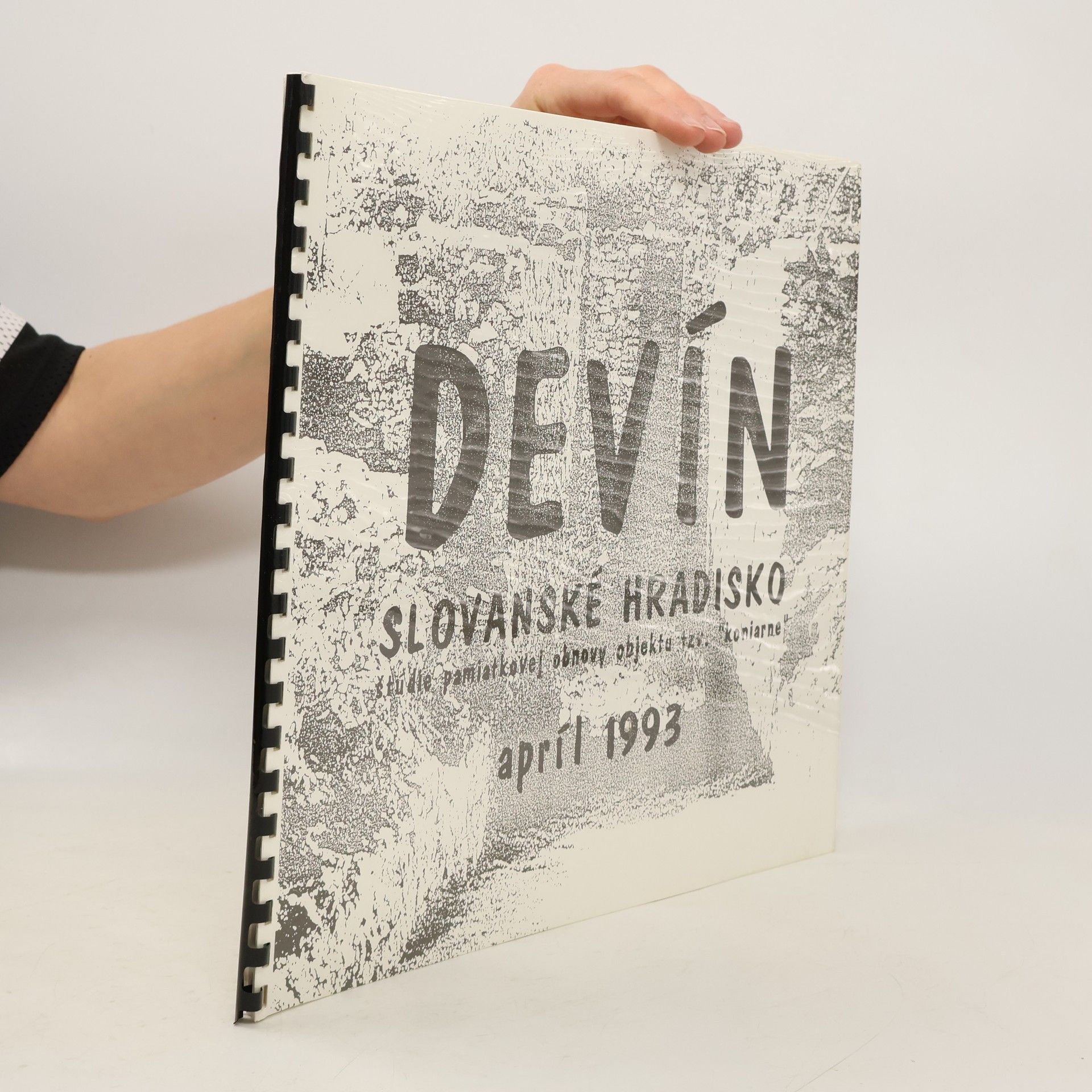 Kolektív autorov Devín : Slovanské hradisko