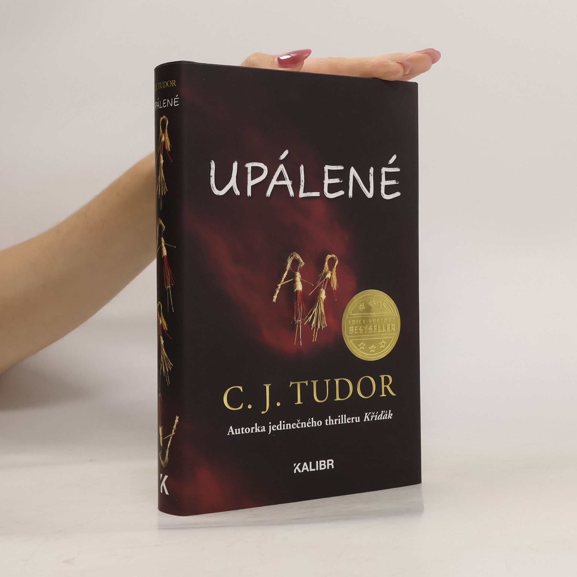 C. J. Tudor Upálené