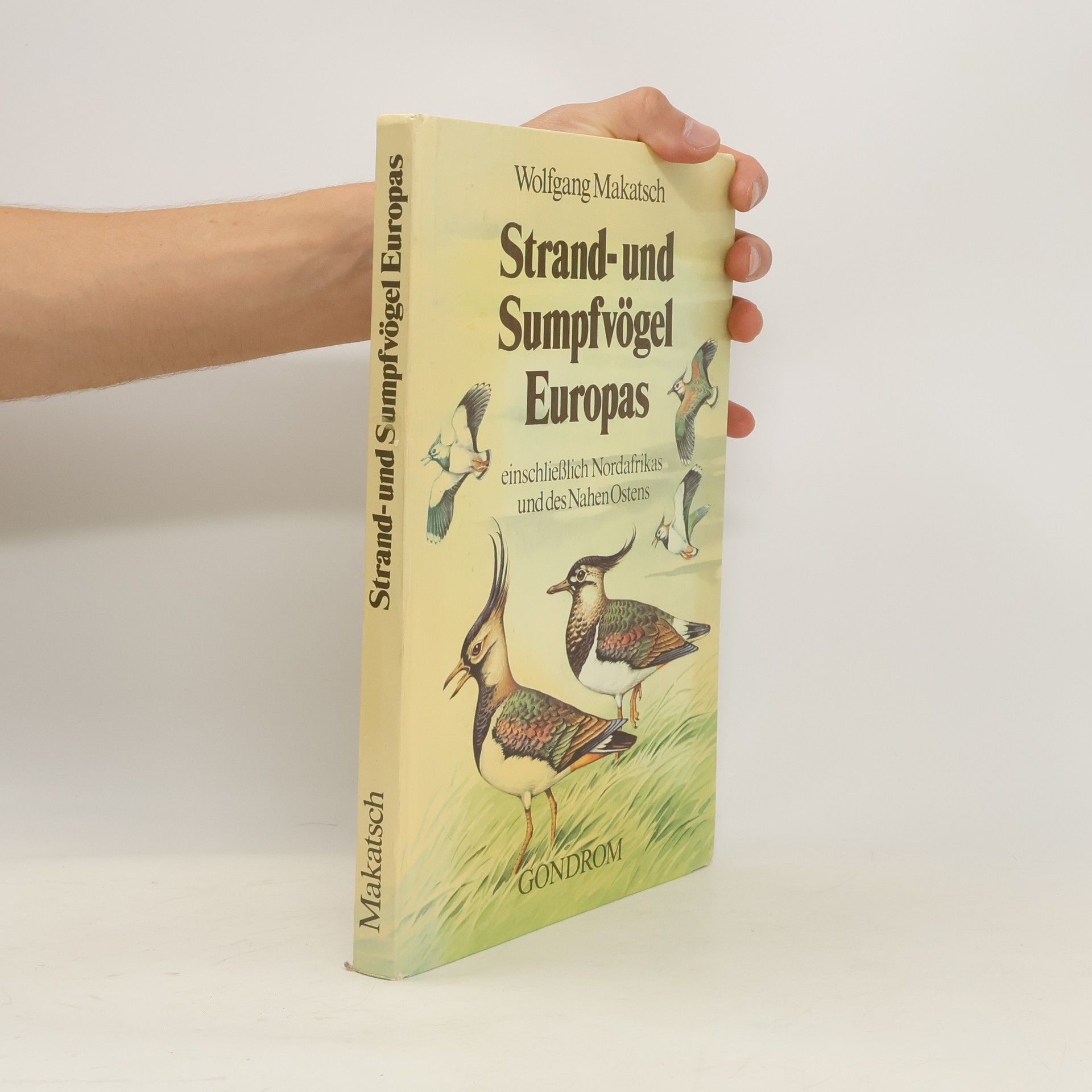 Wolfgang Makatsch Strand- und Sumpfvögel Europas
