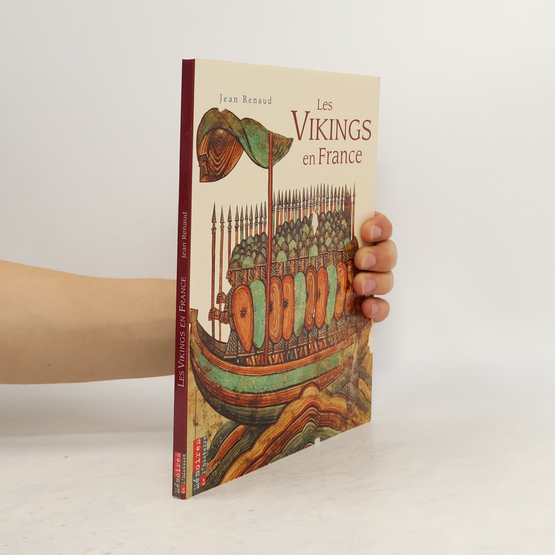 Jean-Renaud Seba Les Vikings en France