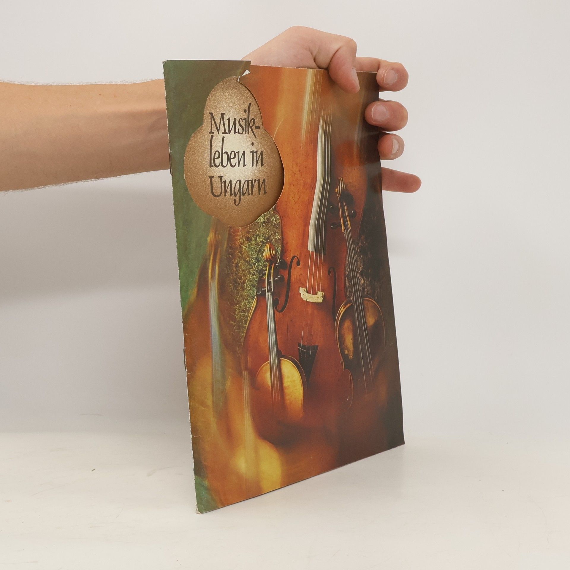 Collectif d'auteurs Musikleben in Ungarn